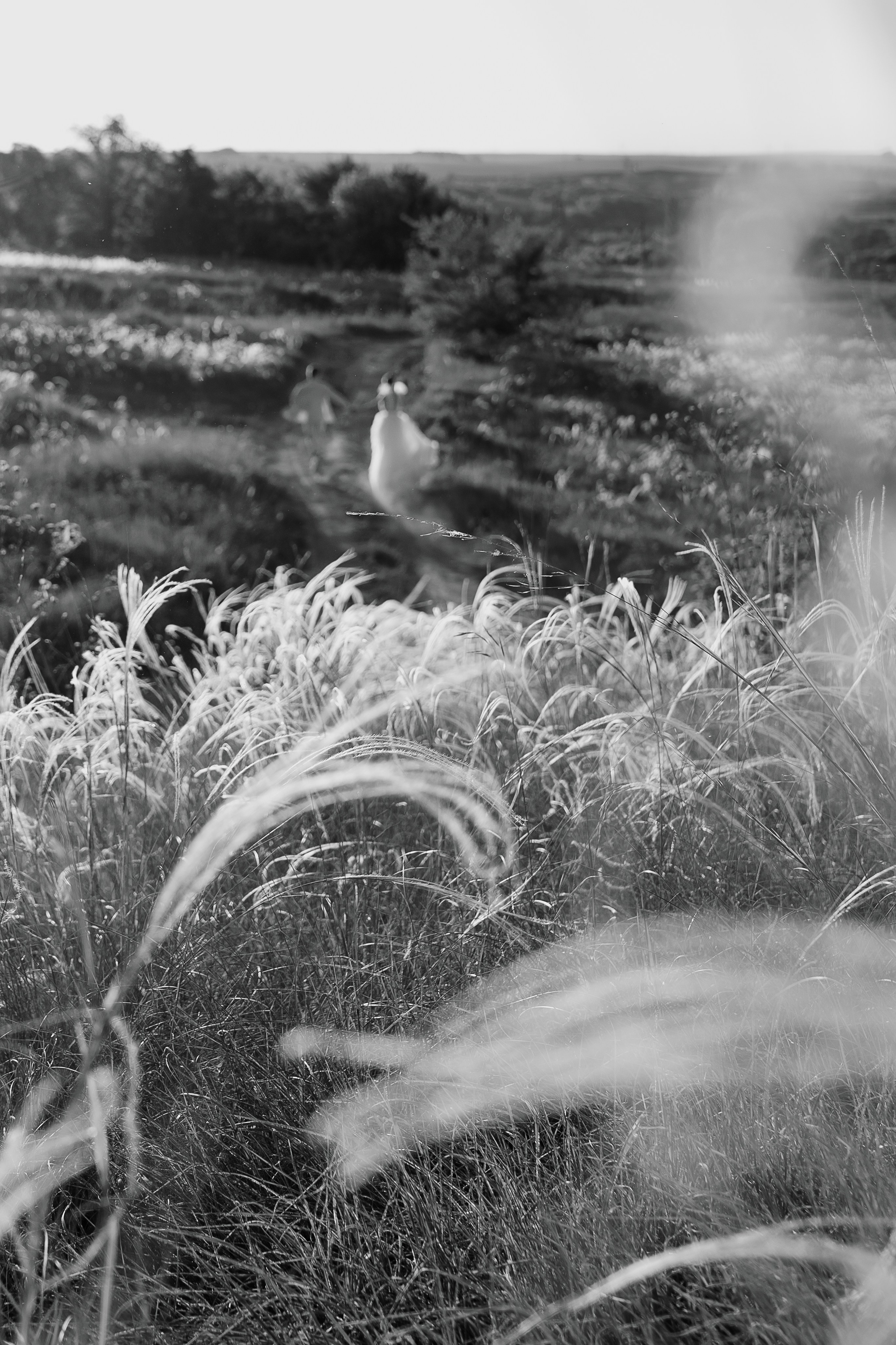 Егор и Лиза. Свадебный фотограф Воронеж Марина Грудинина