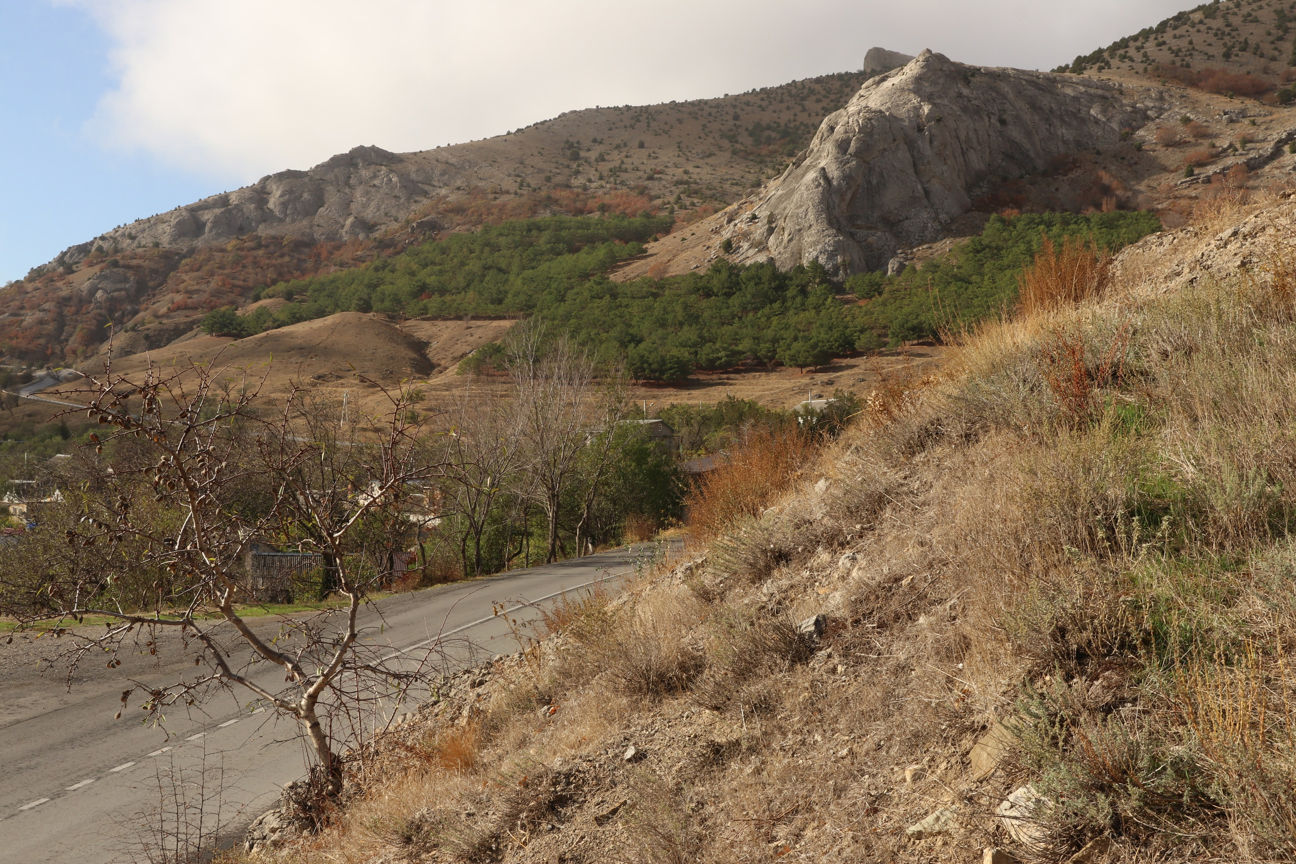 Крым. ЮБК (Гурзуф, Судак и их окрестности). Ноябрь 2023. Путешественник-фотограф из Санкт-Петербурга Татьяна Свистулина