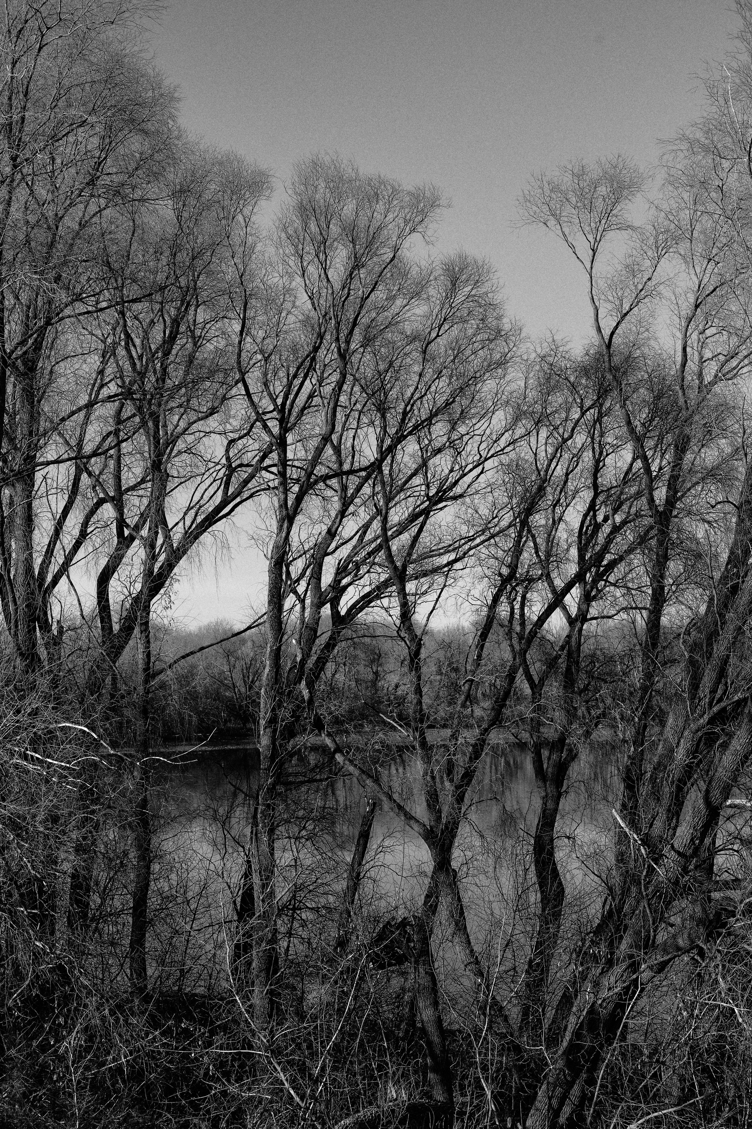 Kolomna / march 2025. Aleksandr Kobtsev