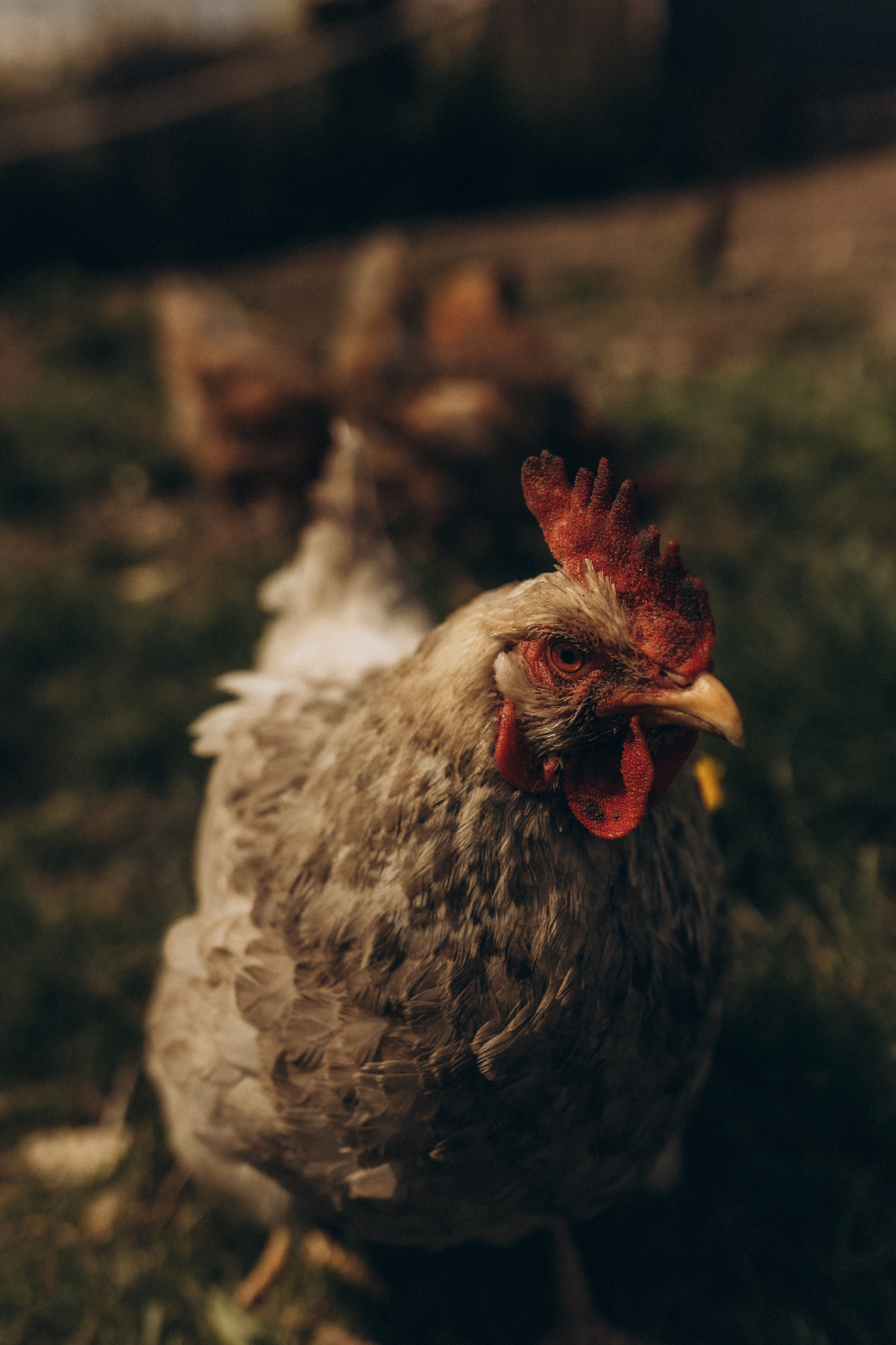 Дом там где мы🤎. Семейный фотограф в Новороссийске и Анапе Александра Яковлева