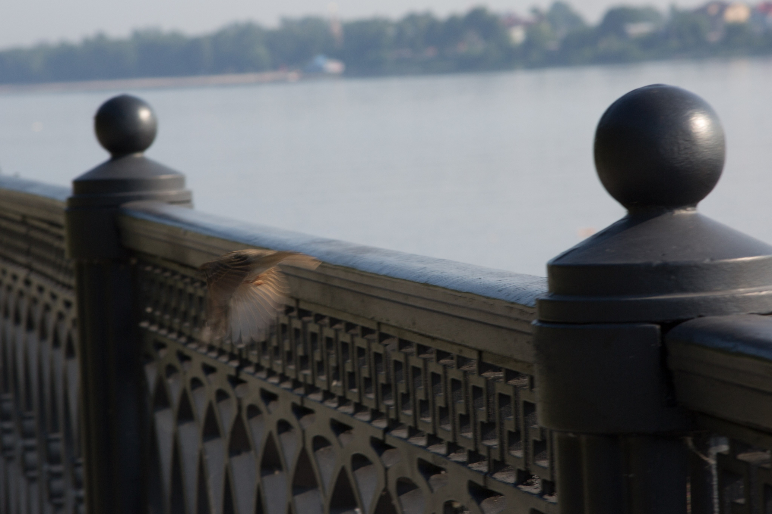 Г. Ярославль. Студия Максима Белослюдцева