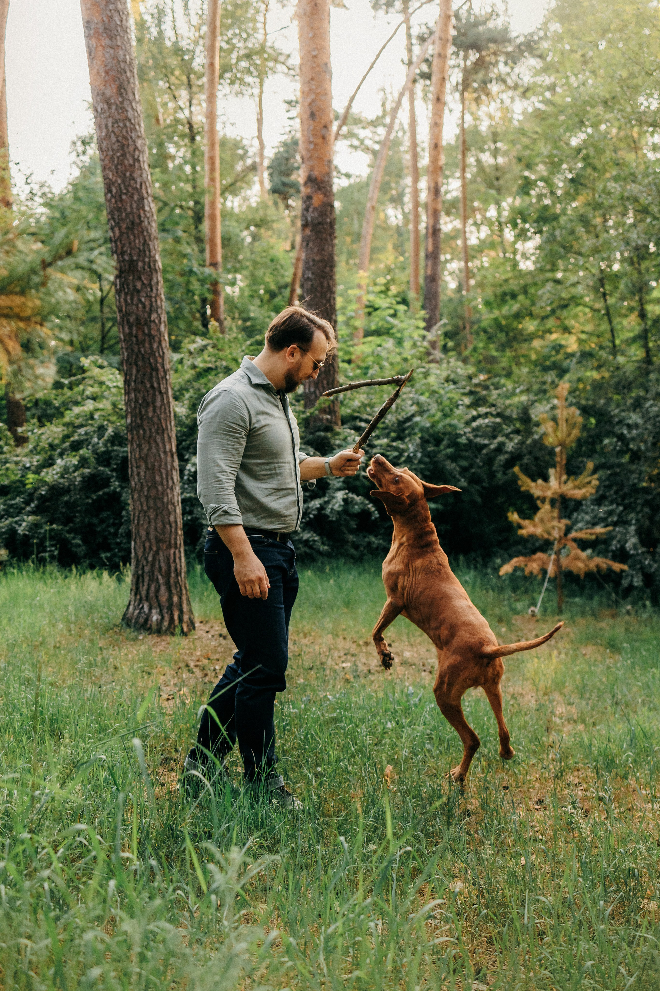 Марина, Глеб, Мая и Чили. Фотограф-анималист Елена Радченко, Москва