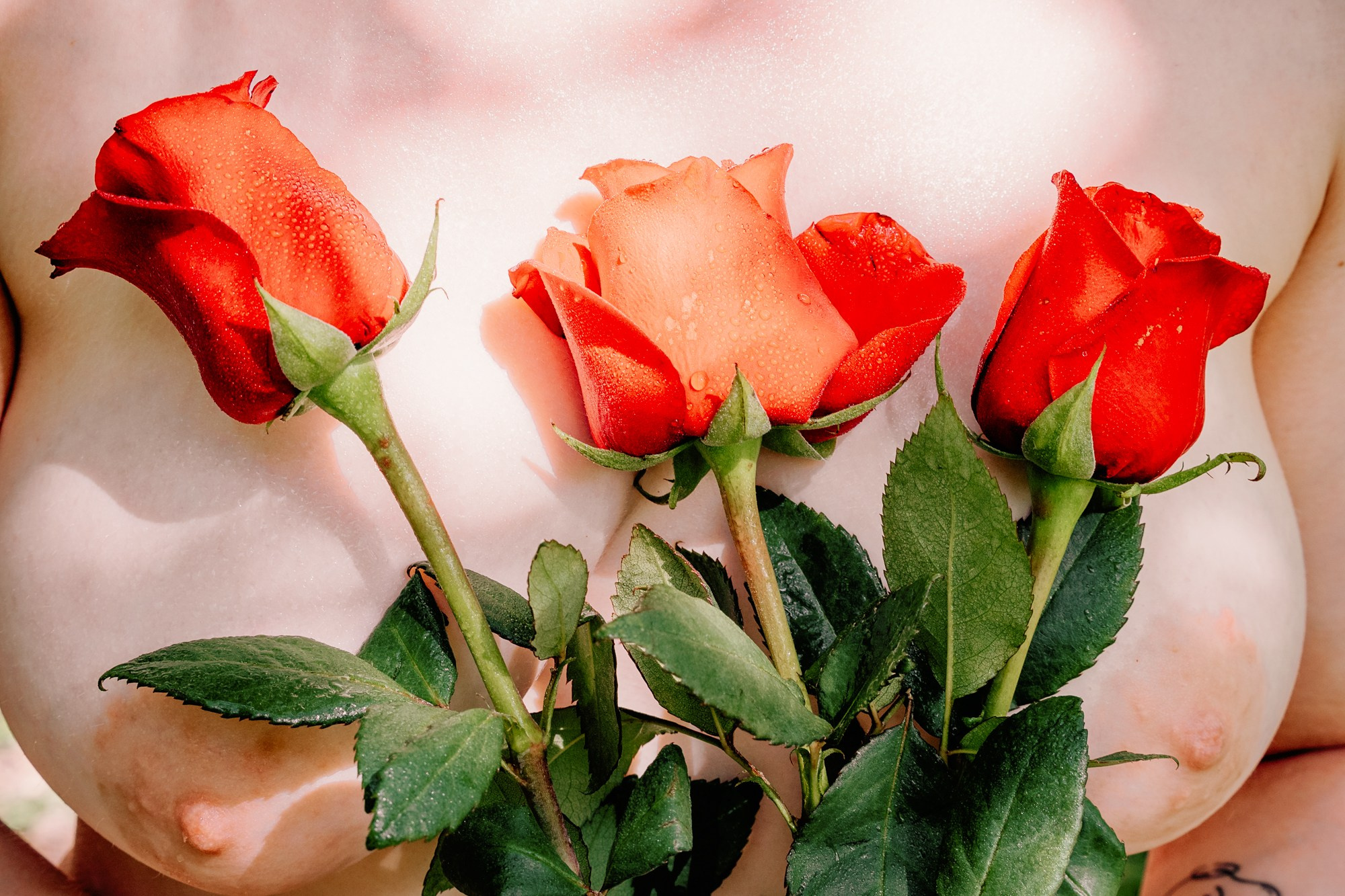 Кэт. В парке Лесоводов. Фотограф