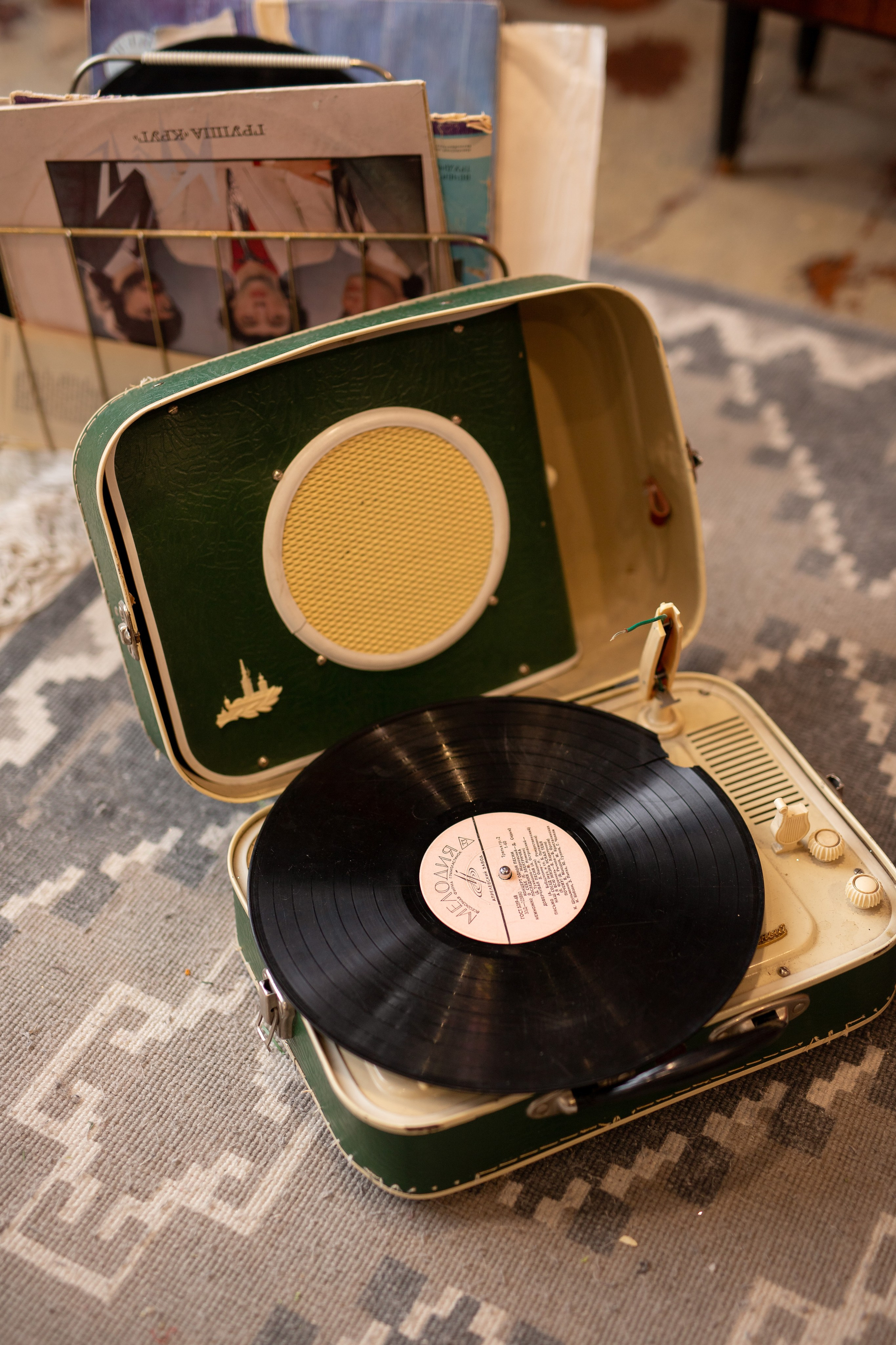 Новогодняя Семейная. Фотограф Анастасия Петрова