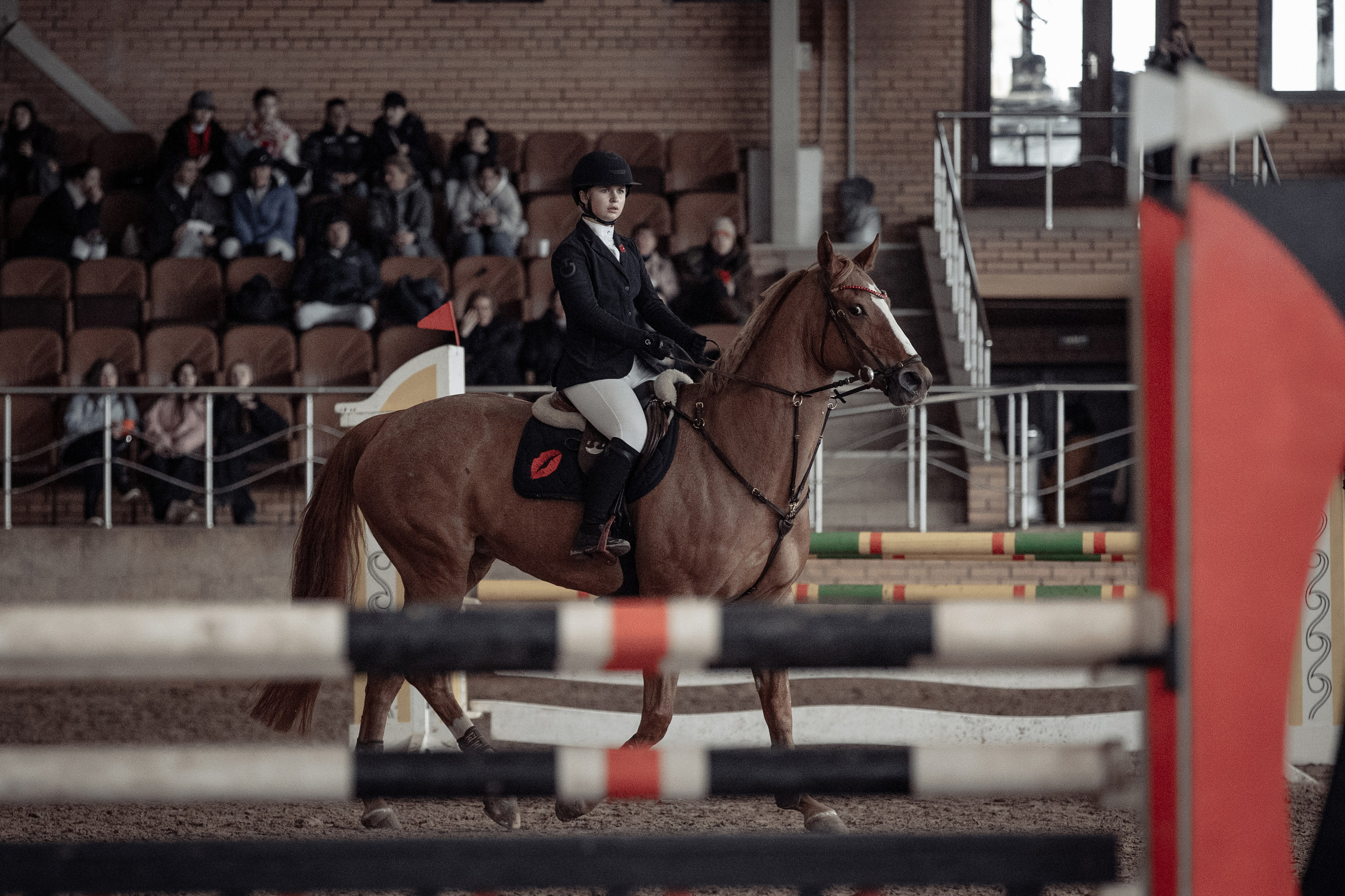 Лошади Евы Демидовой. Ева Демидова. Спортсмен по конкуру в Санкт-Петербуре