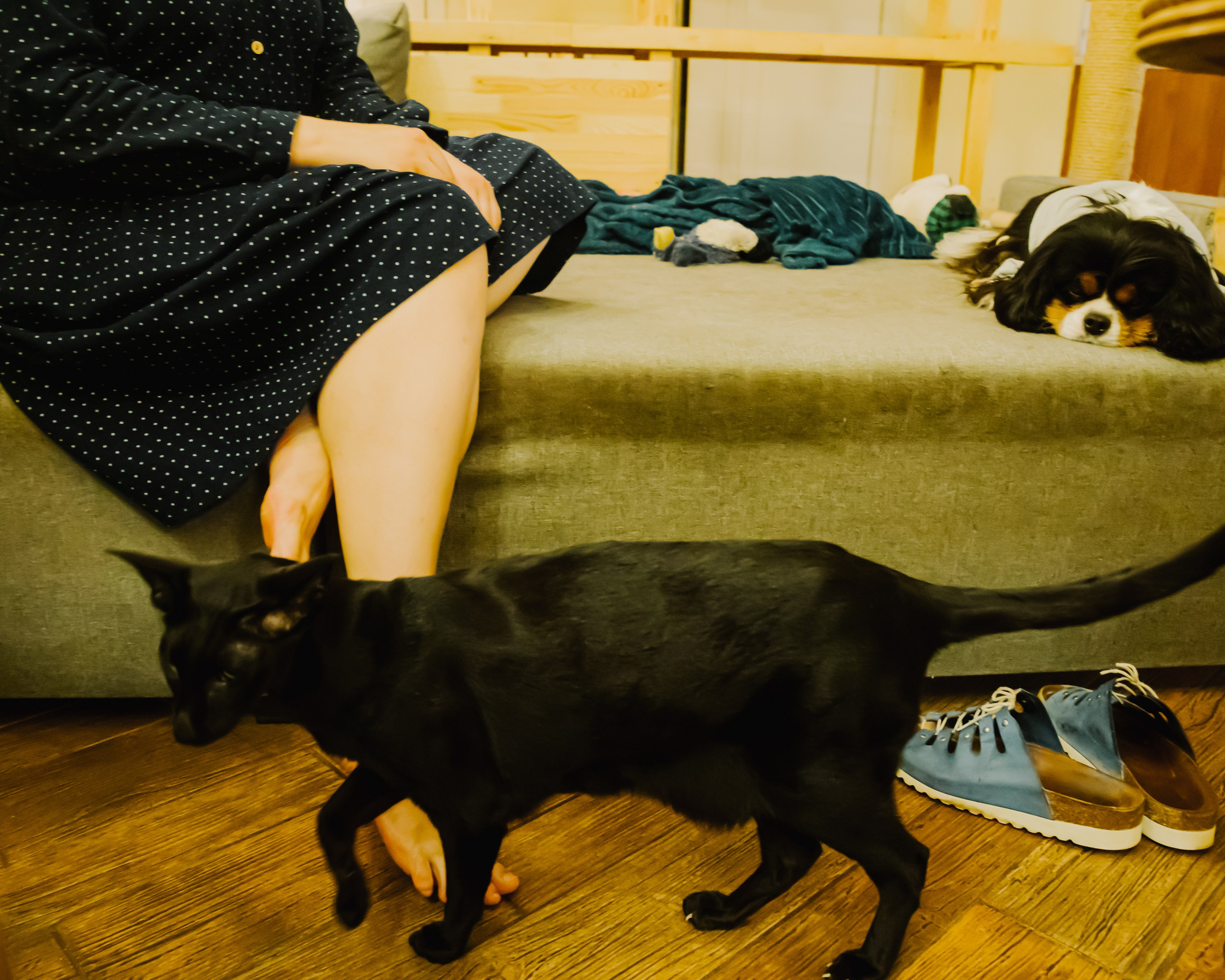 Гилдин. Портретный фотограф Ванинен Анастасия. Санкт-Петербург