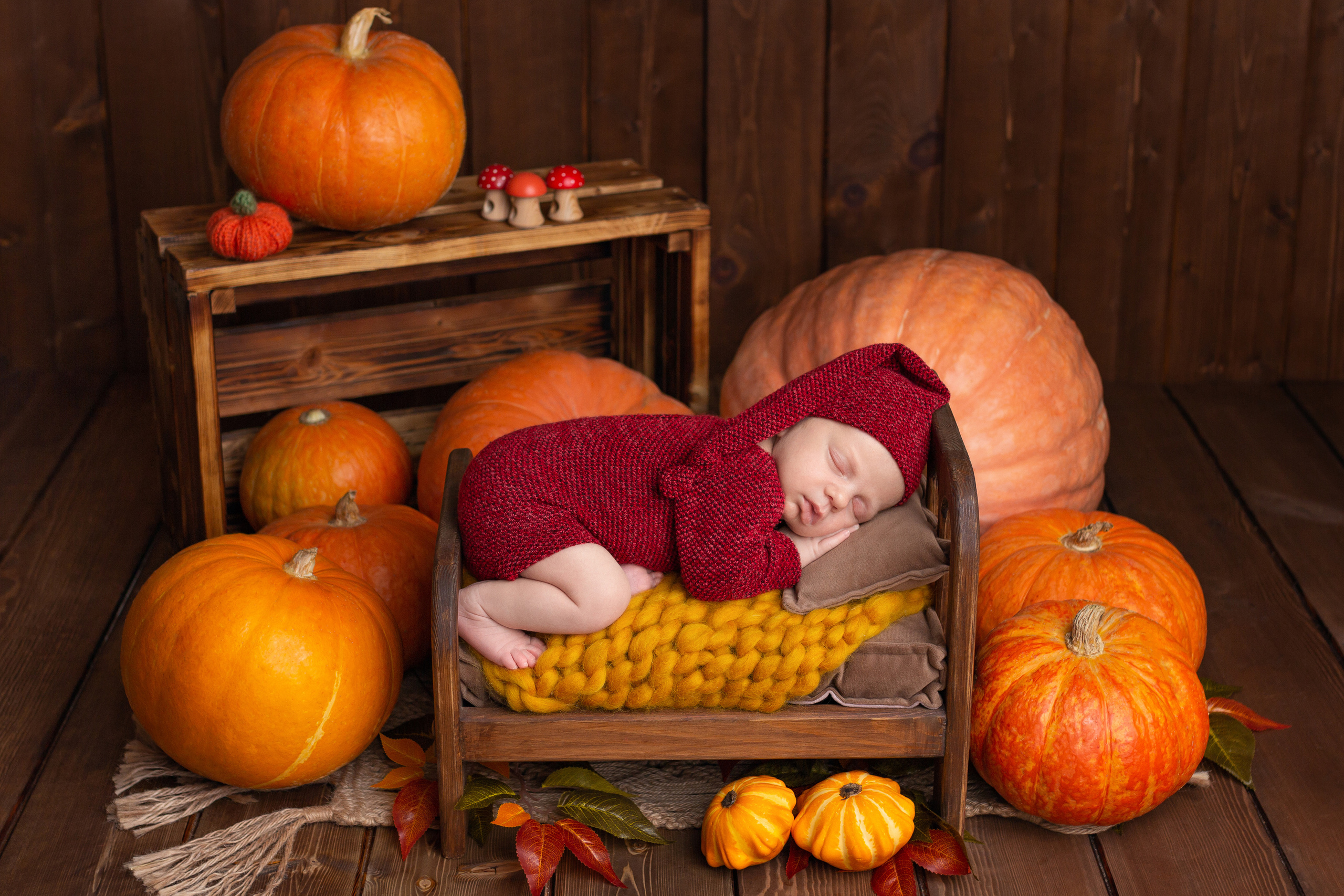 Егор 22 дня (пакет мини). Фотограф новорожденных в Барнауле Русакова Анастасия