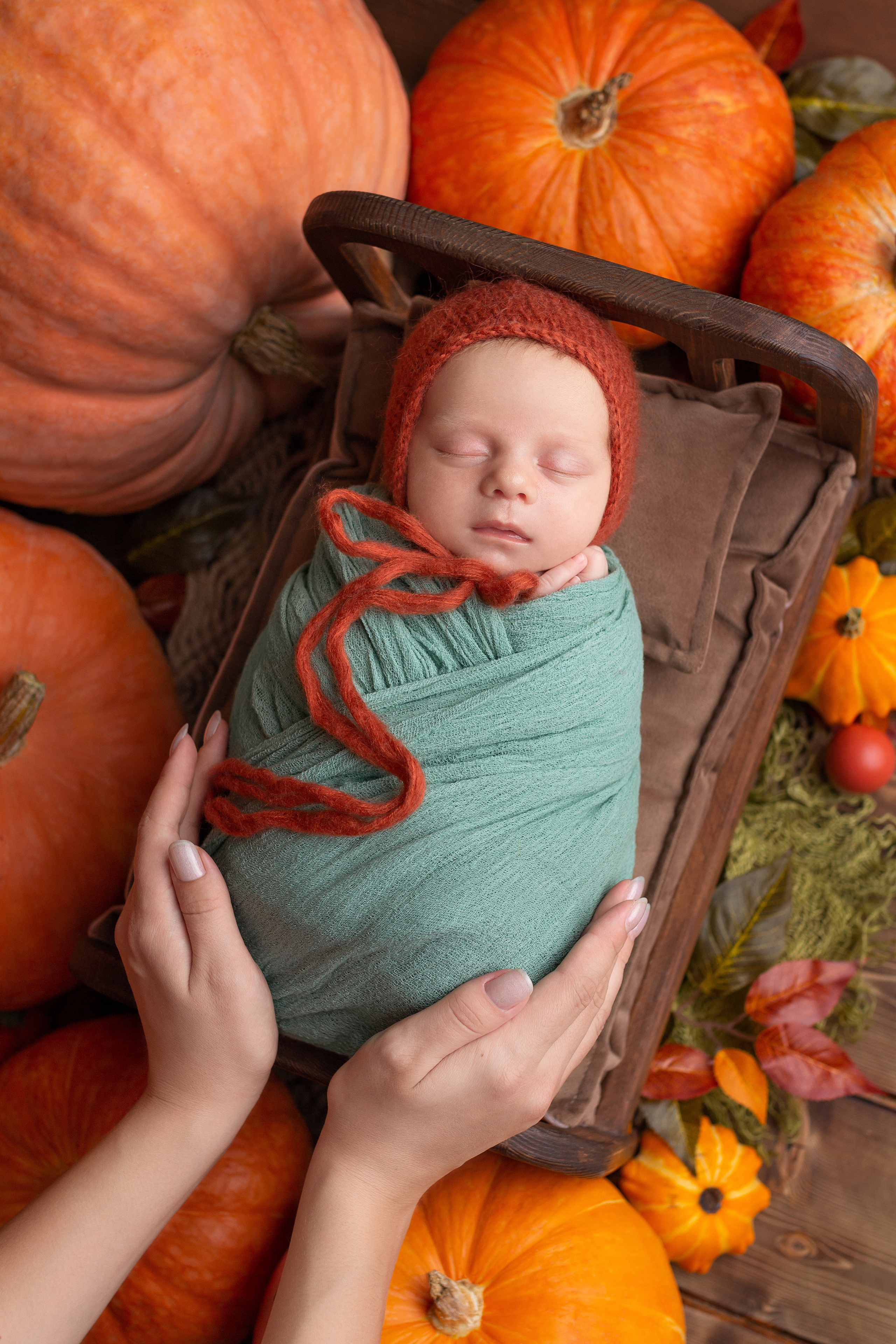 Егор 22 дня (пакет мини). Фотограф новорожденных в Барнауле Русакова Анастасия