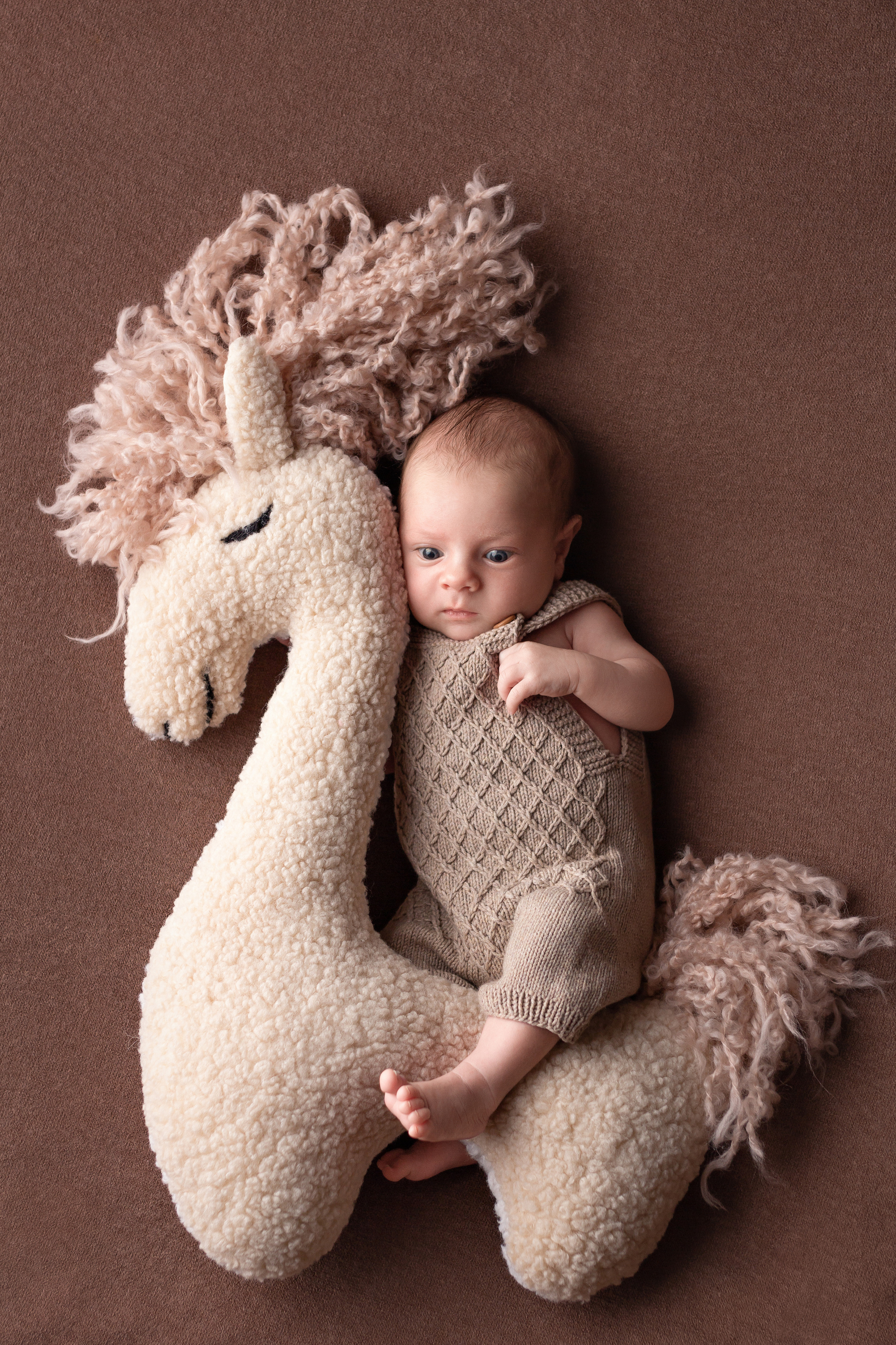 Марк 24 дня (пакет мини). Фотограф новорожденных в Барнауле Русакова Анастасия