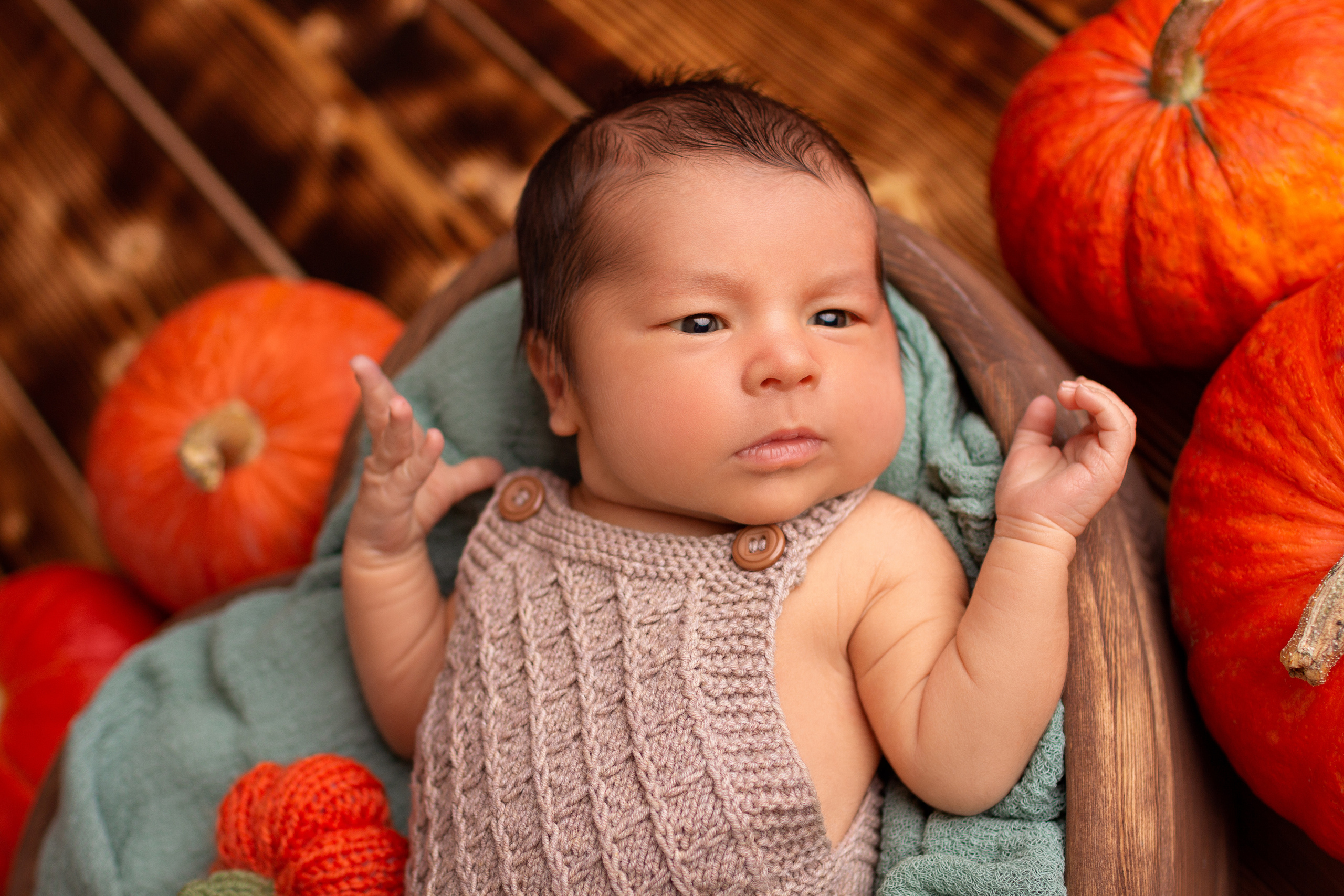 Сашенька 9 дней (пакет мини). Фотограф новорожденных в Барнауле Русакова Анастасия