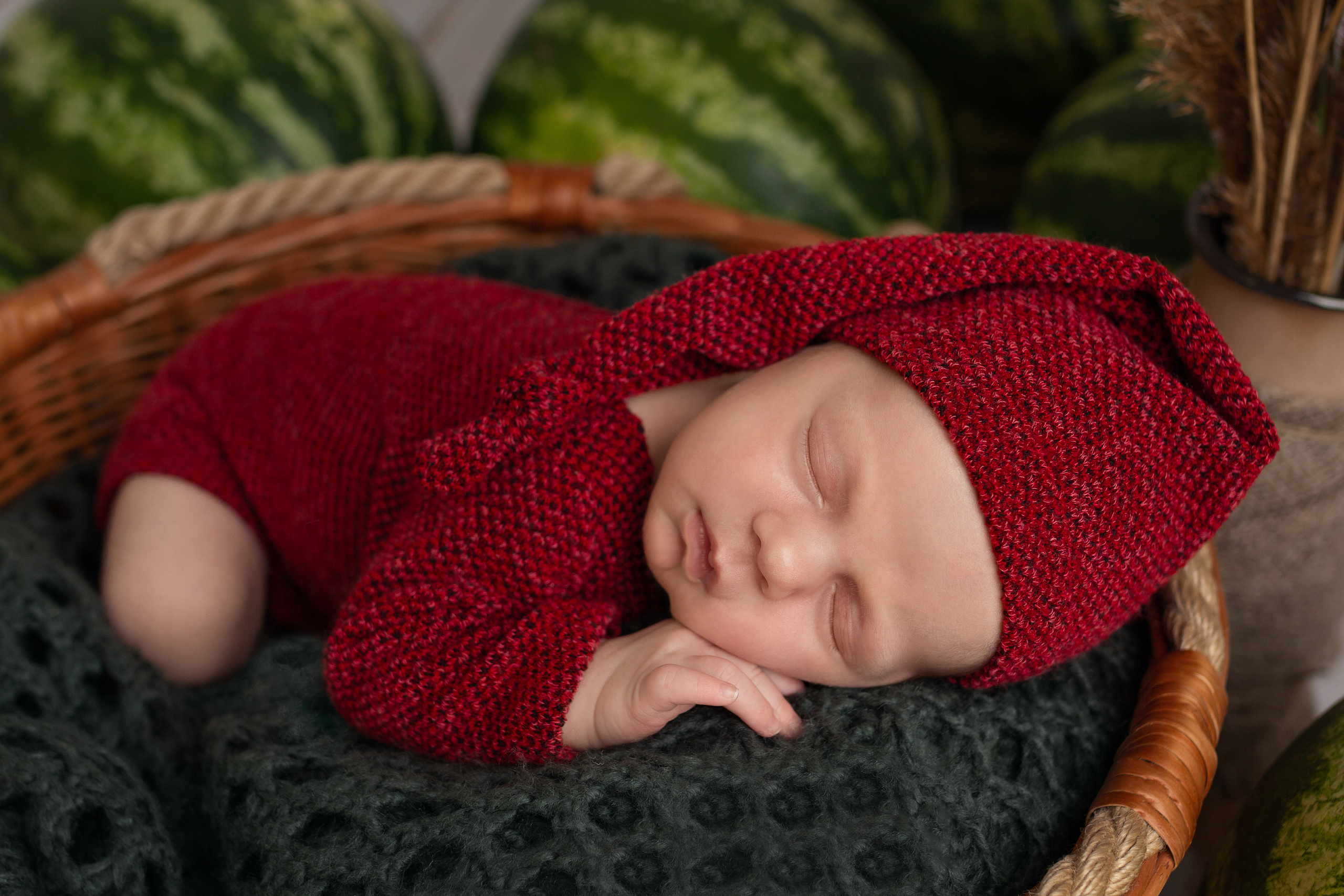 Егор 22 дня (пакет мини). Фотограф новорожденных в Барнауле Русакова Анастасия