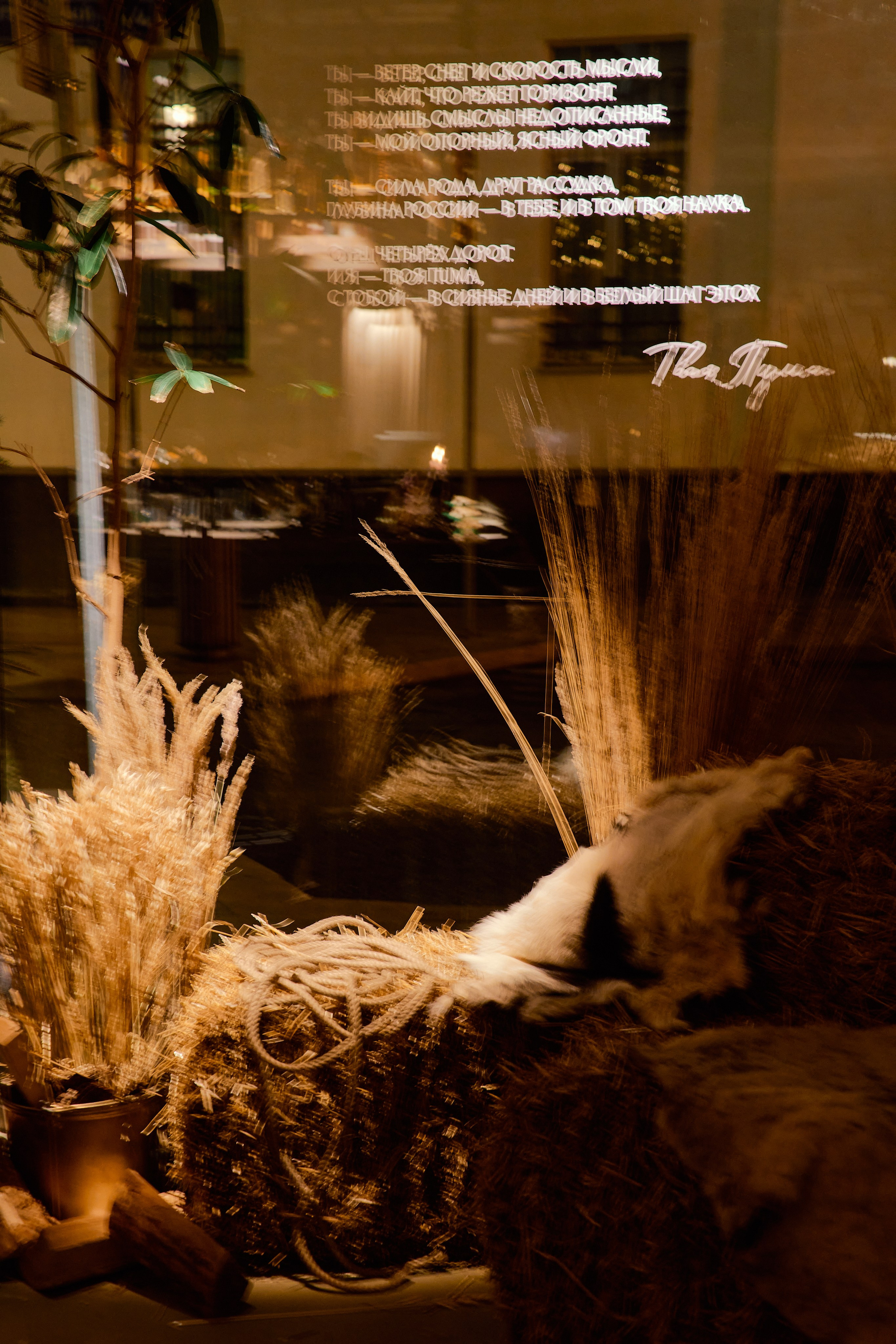 SARAY | 24.11.2025 | г. Москва, ресторан «Сарай». МашаШарики | Декоратор | Москва