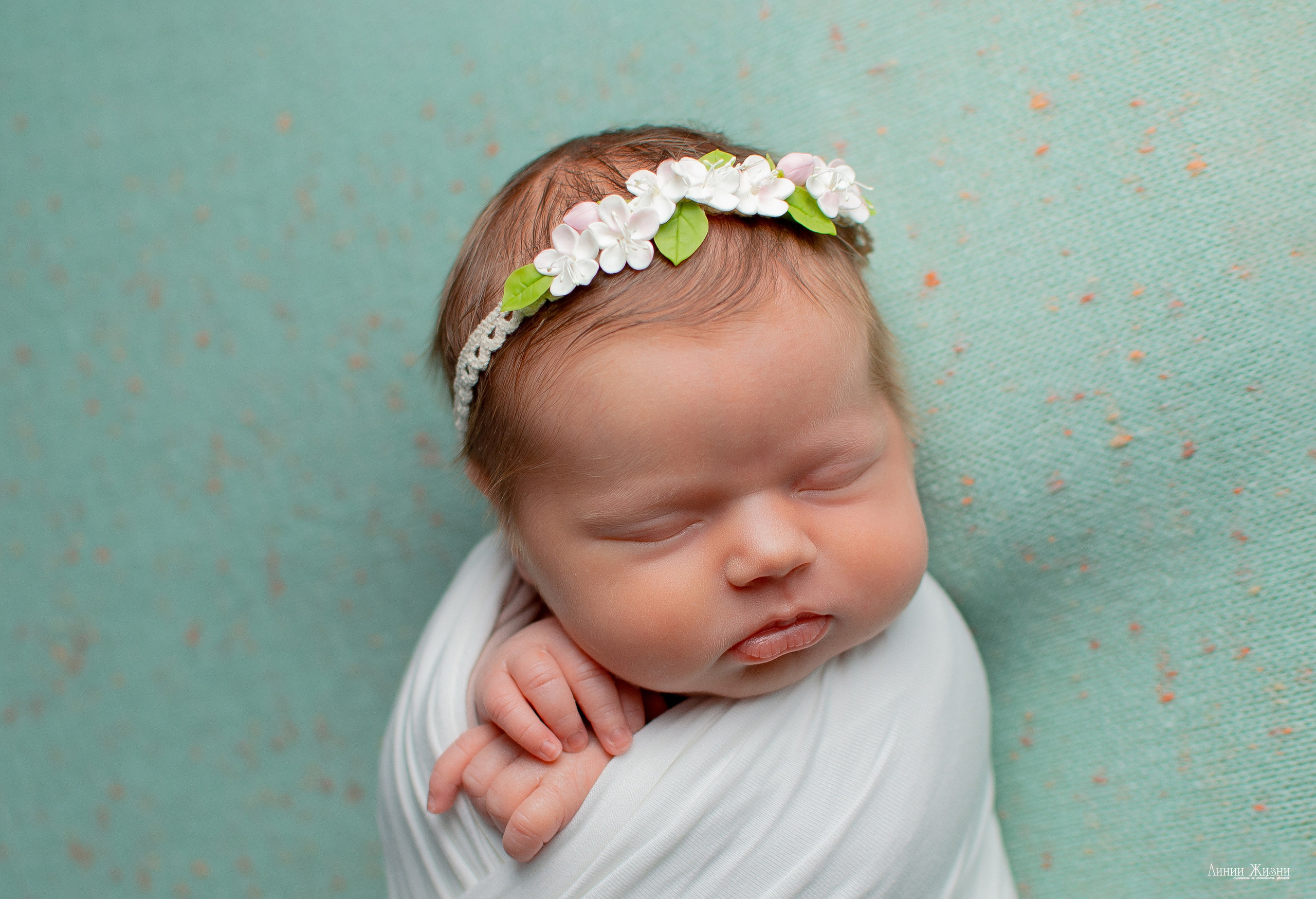 Ксения 7 дней. Фотограф новорожденных в Нижнем Новгороде Сергеева Оксана