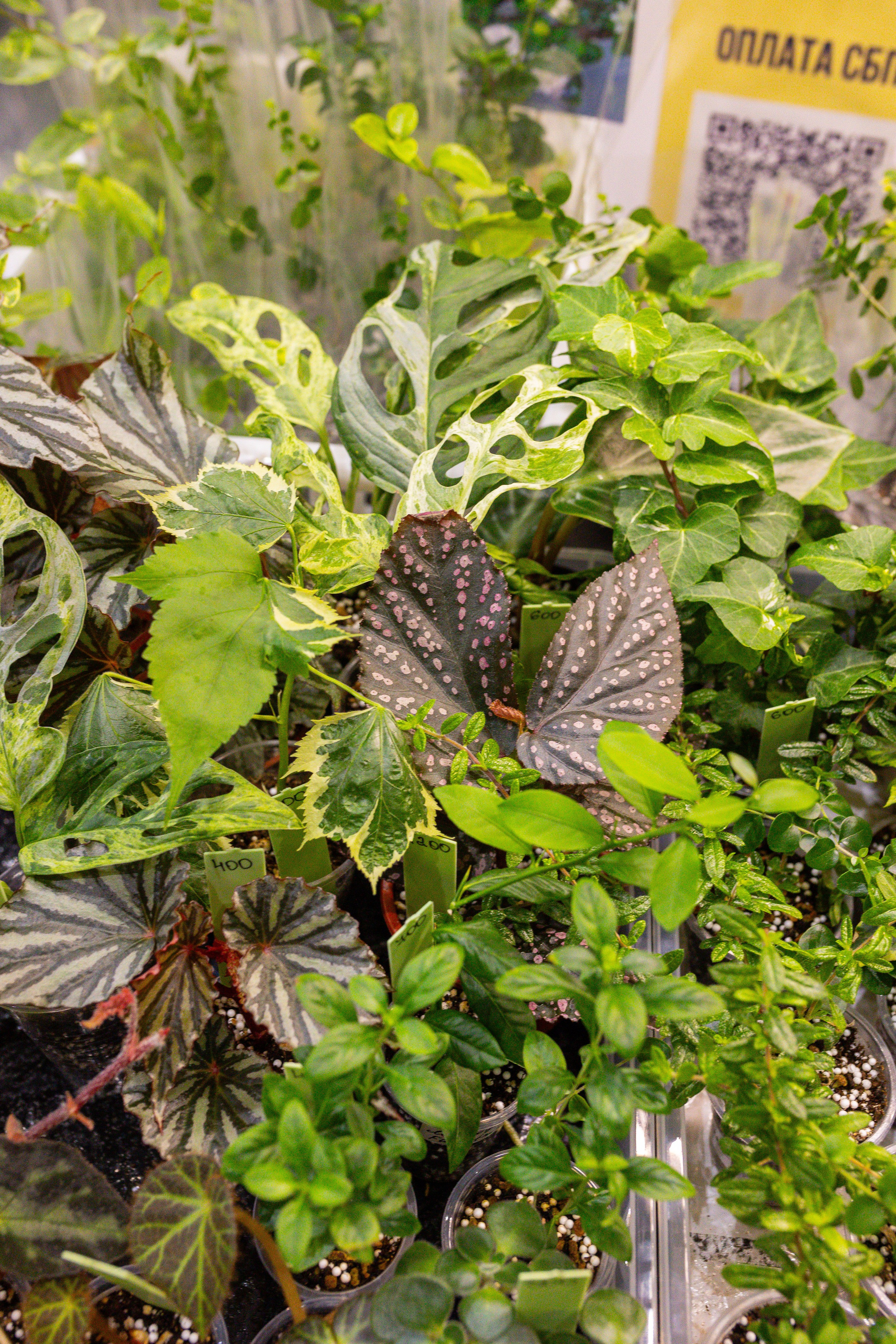 Монстериум 11–12 октября. Александра Куликова фотограф, Москва