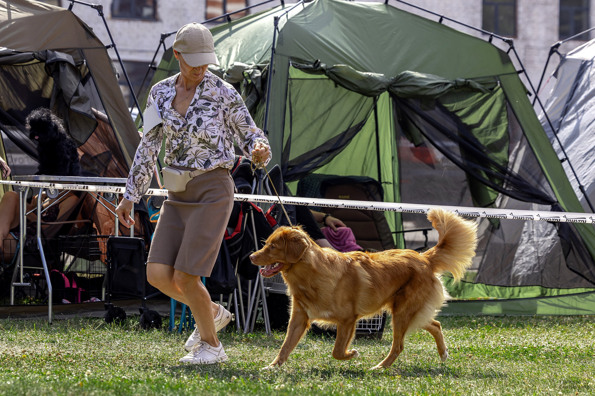2–3 августа 2025, Выставка РКФ, г. Пермь. Htykk_photo