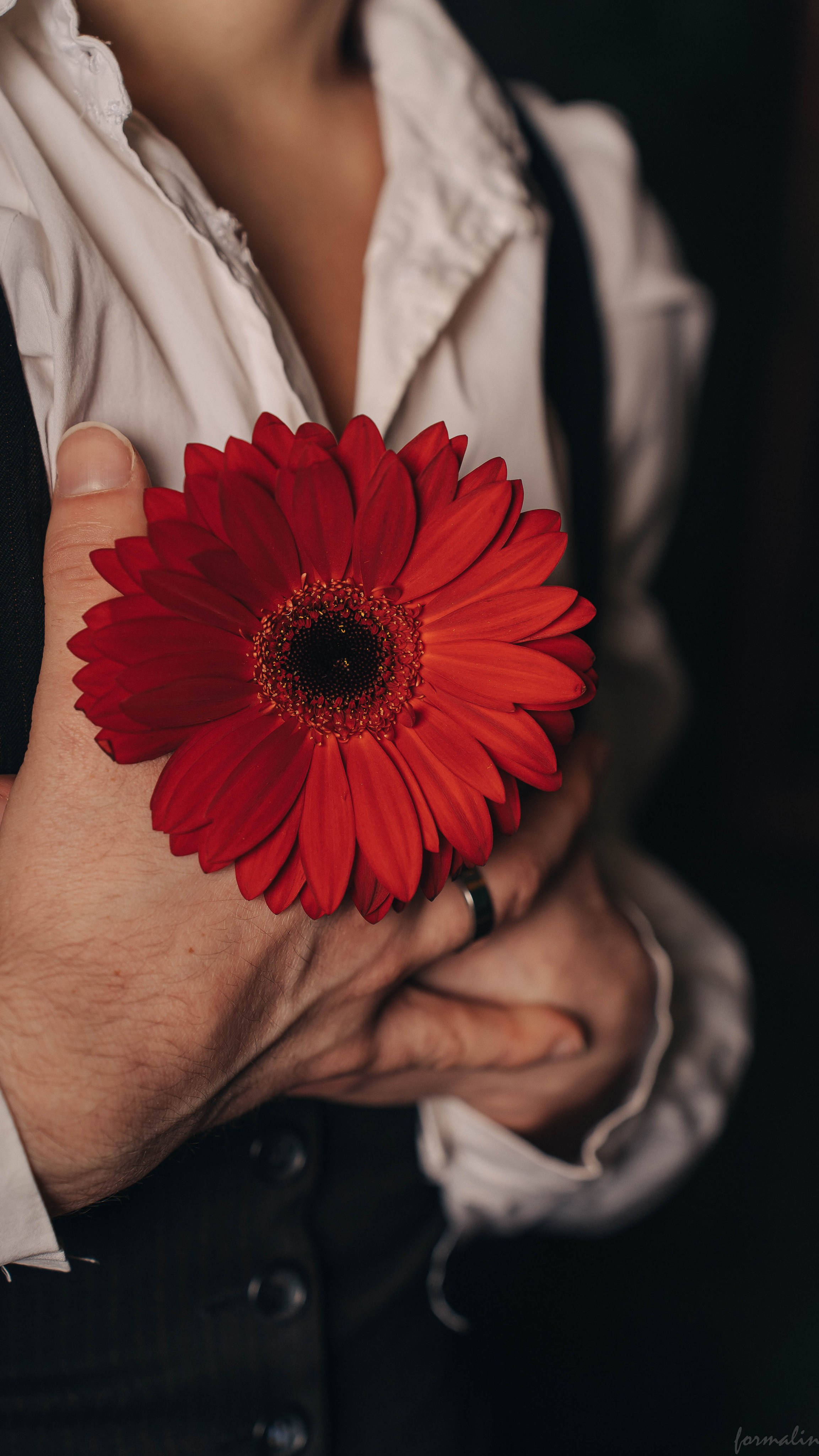 Дориан Грей. Алиса Никитцова | Фотограф в Казани