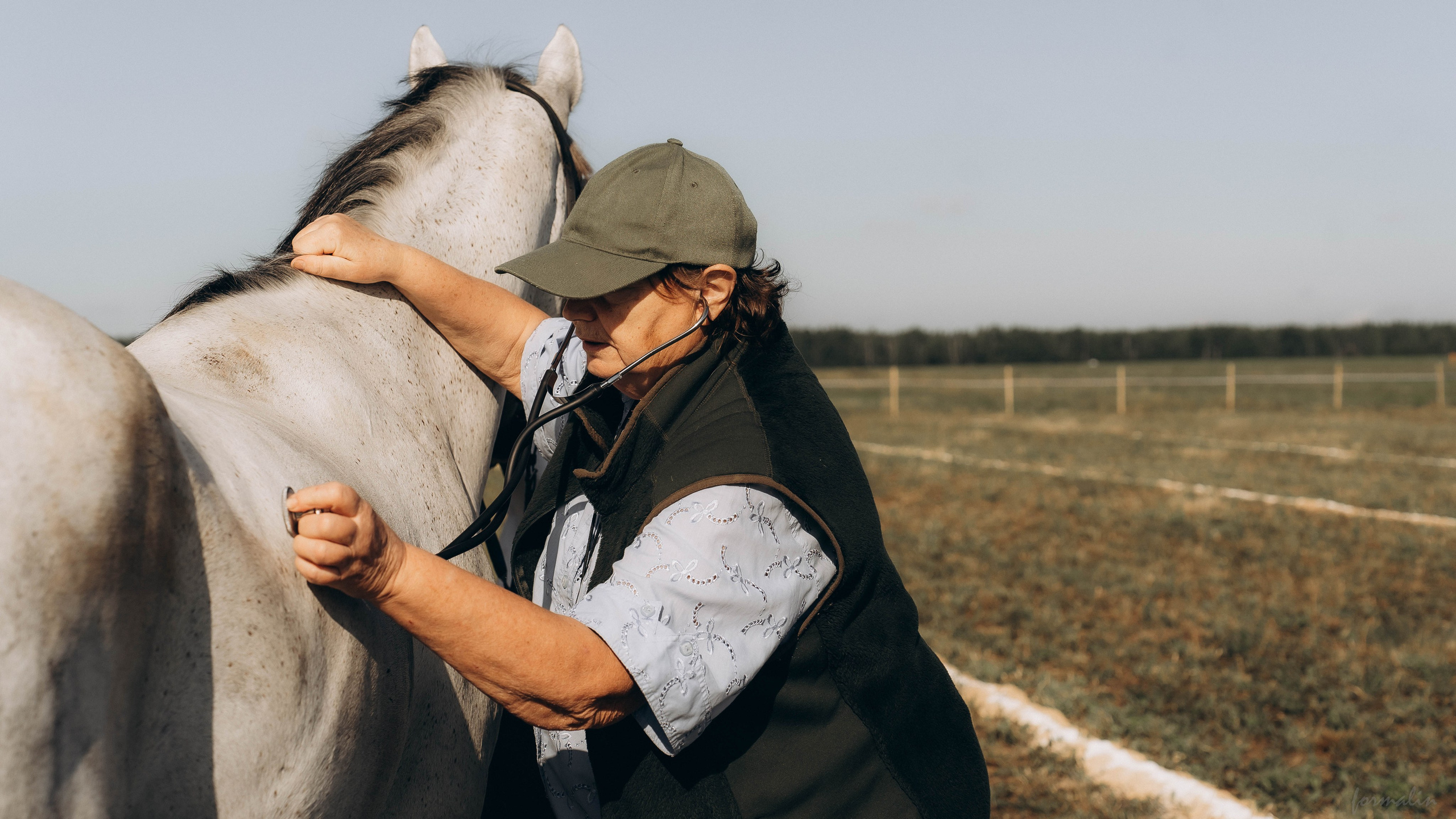 День Коня. Алиса Никитцова | Фотограф в Казани