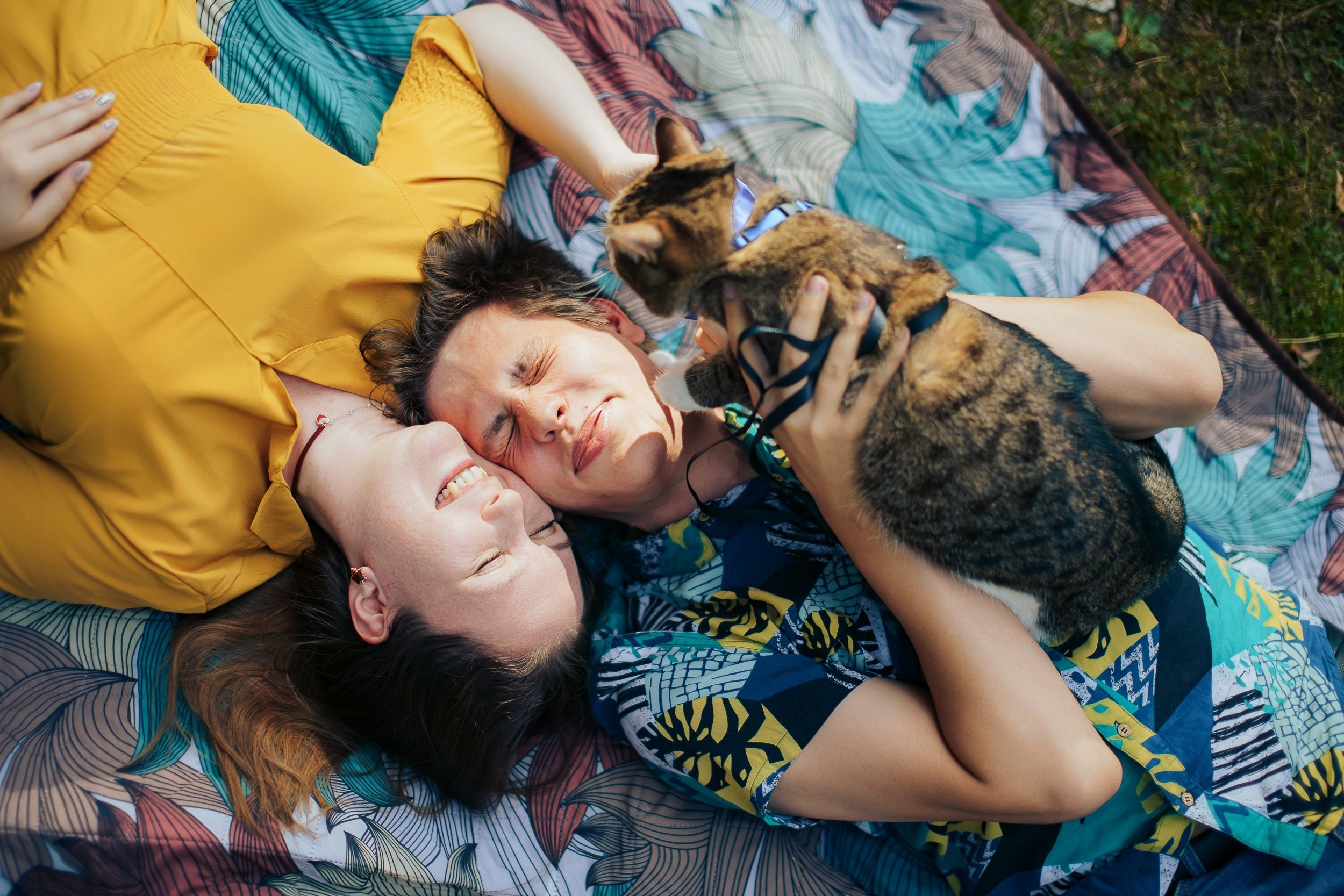 Лавстори Люда, Женя и КотКотофеич. Ваш свадебный и семейный фотограф