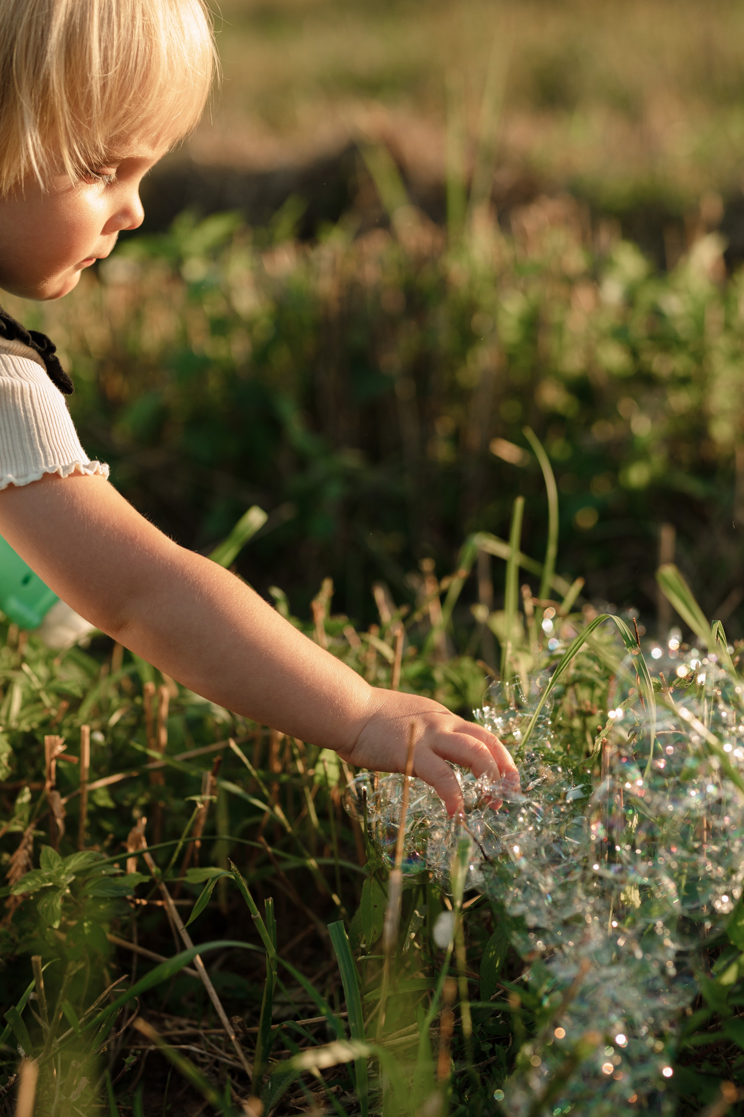 ДУБЫ. Cheta Kovalevsky фотографы