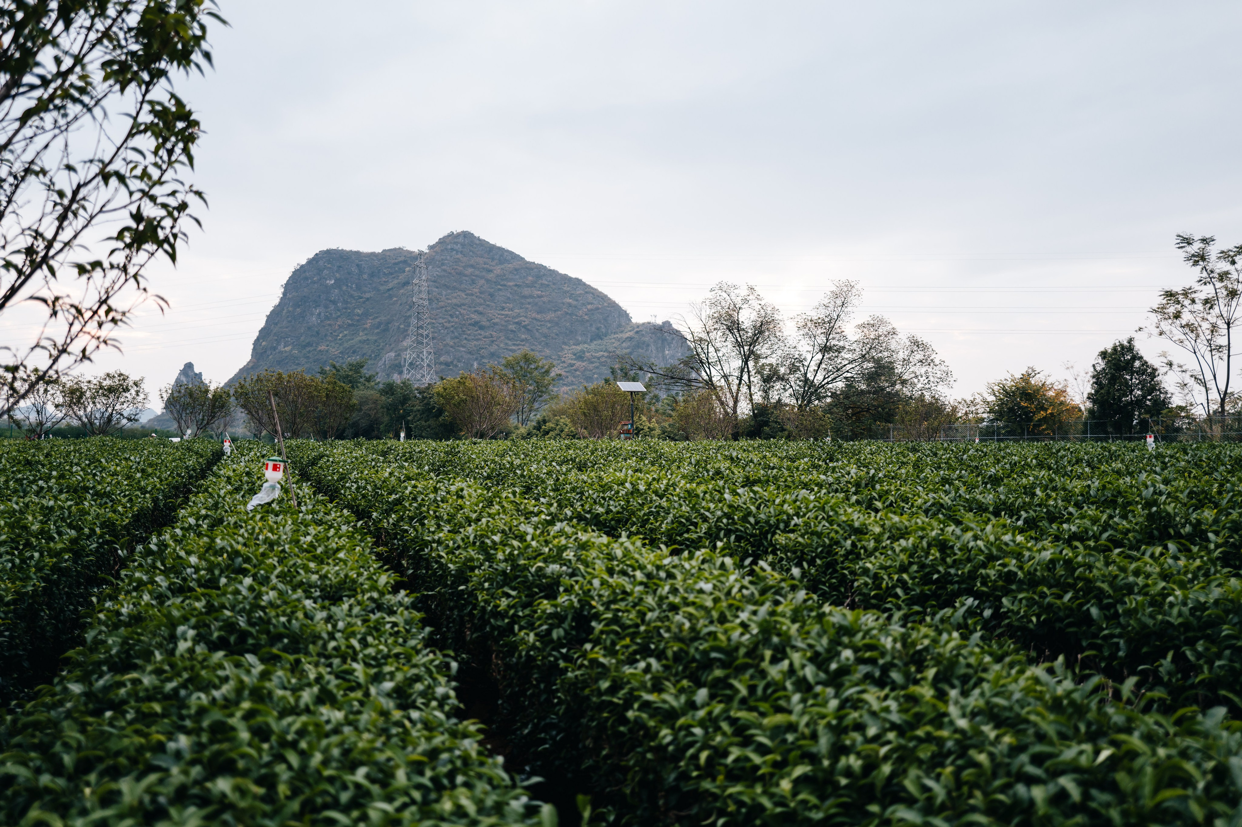 China/Китай. @tomrus: Рустам Шагиморданов — фотограф