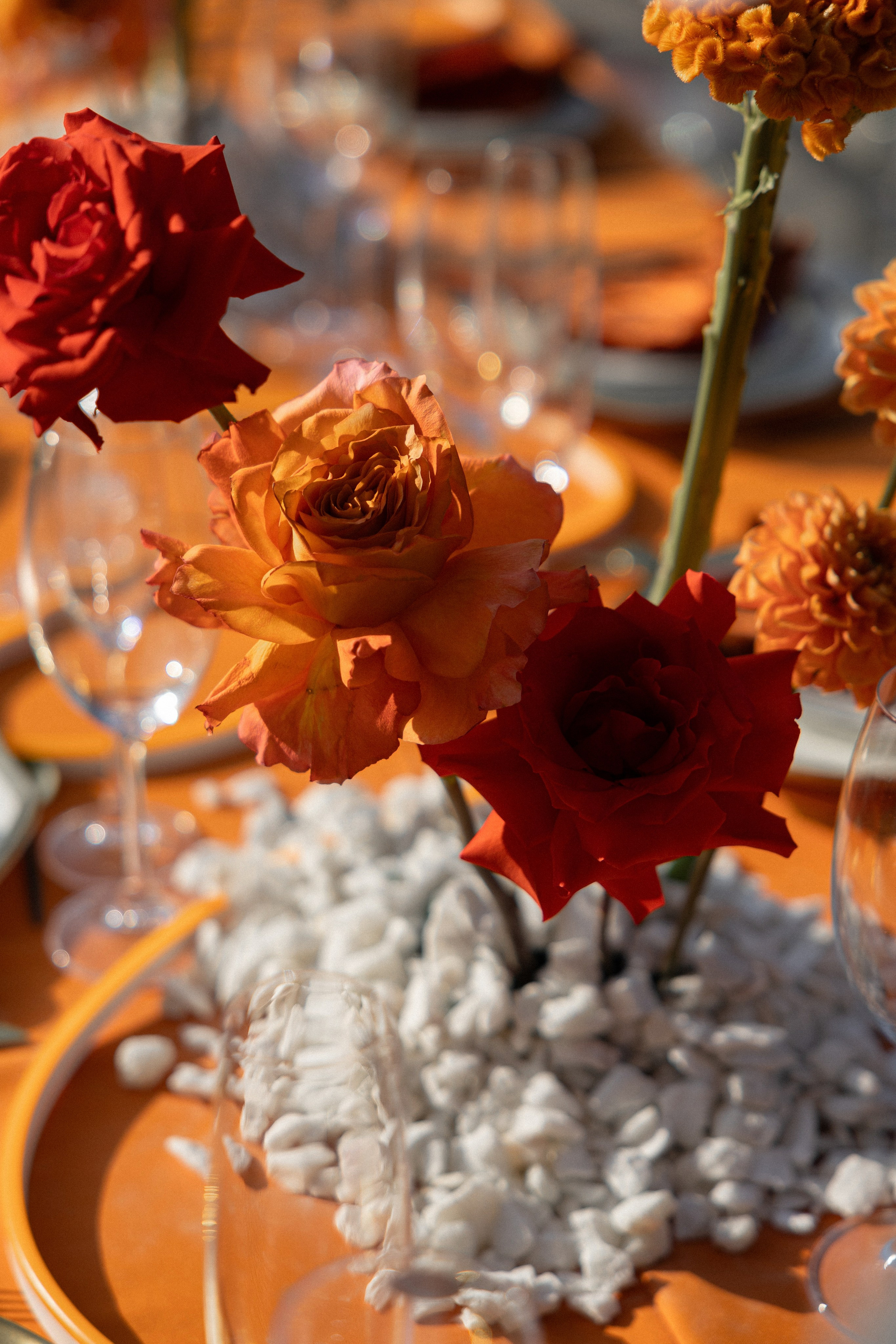 Dmitry & Maria. Вебер Юлия фотограф Ростов-на-Дону