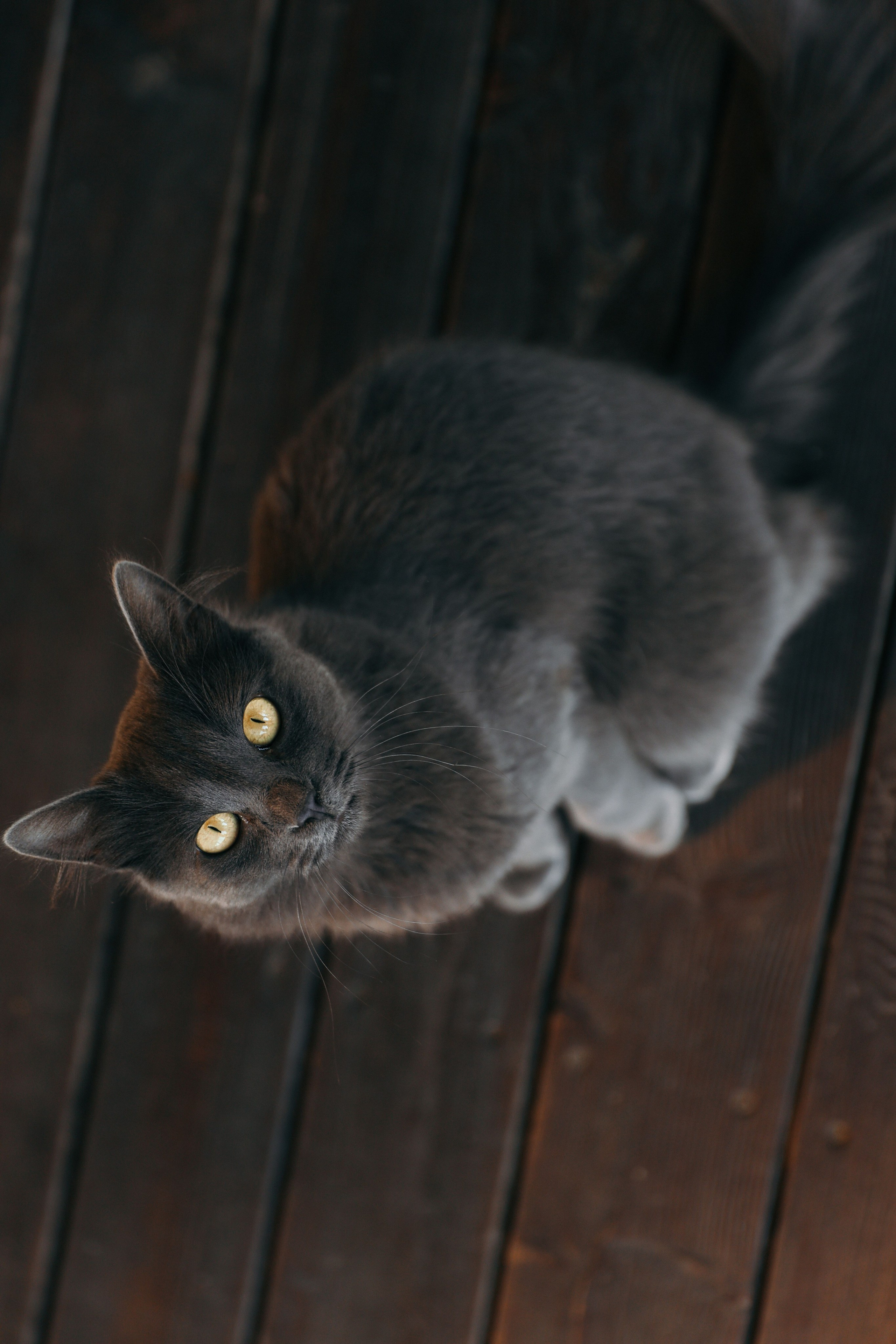 Анонс свадьба Владислав и Анастасия. Свадебный и семейный фотограф в Севастополе и Крыму Анастасия Сураева