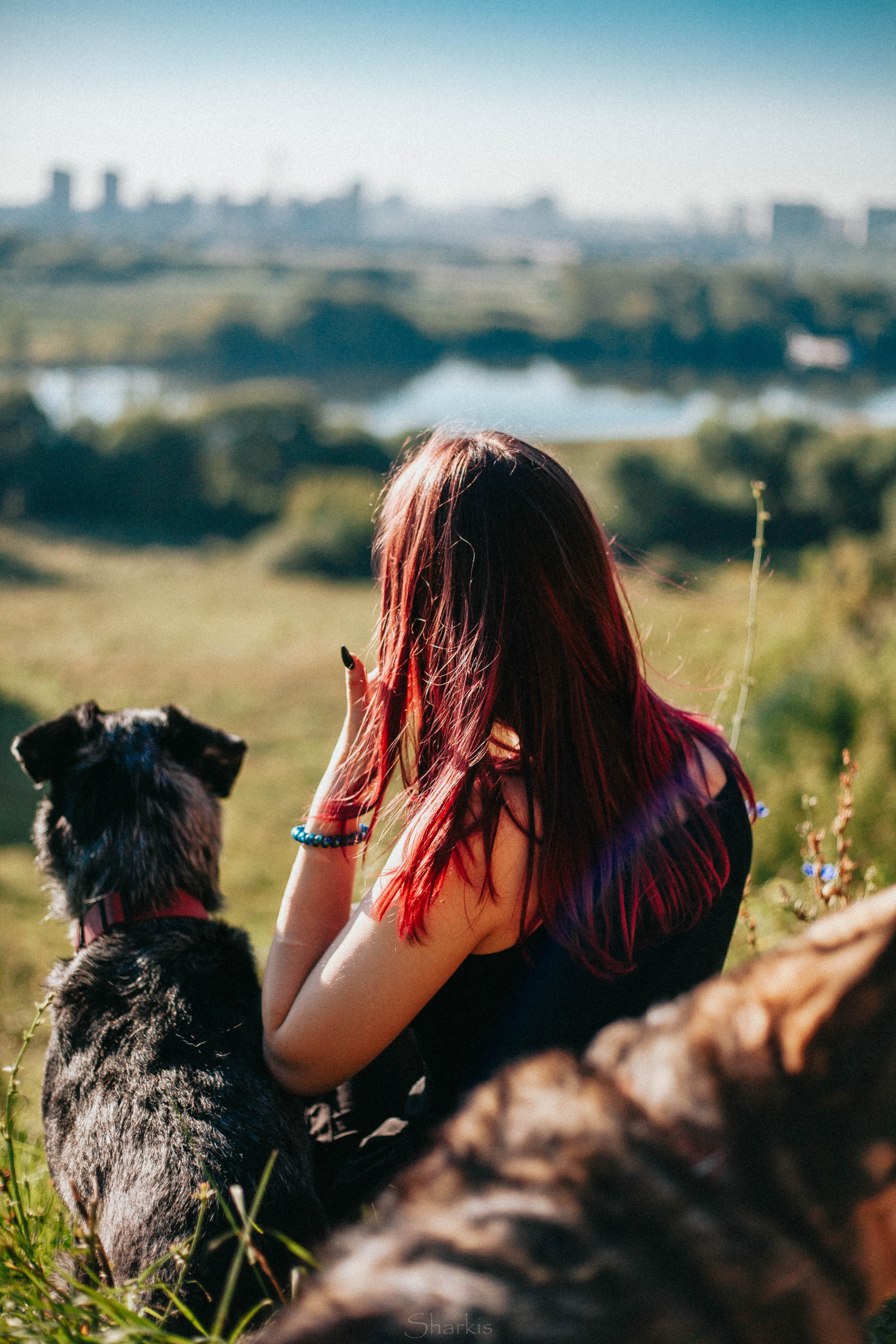 Вега и Гриша. Главная