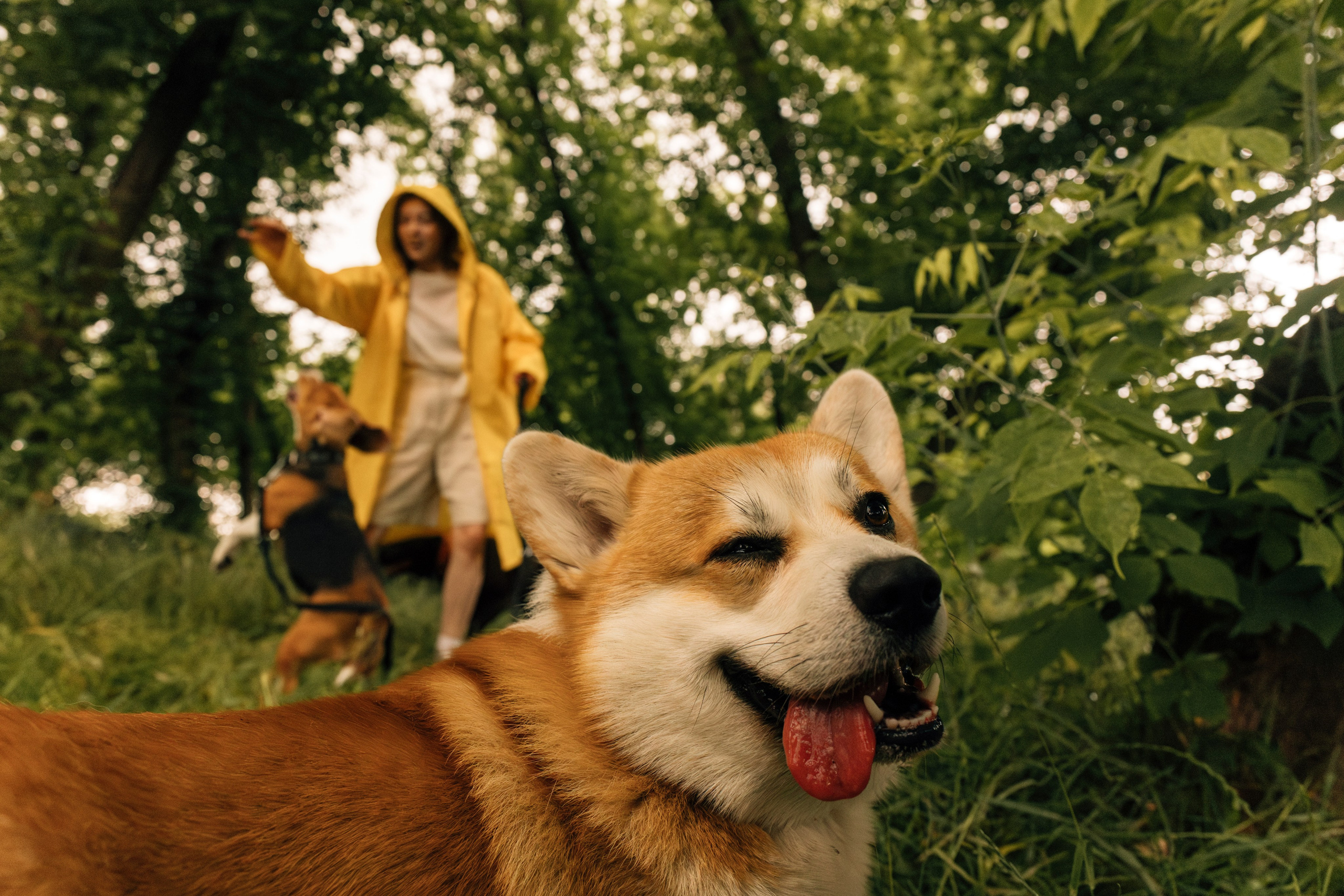 Индивидуальные. Фотограф в Москве Екатерина Потапова