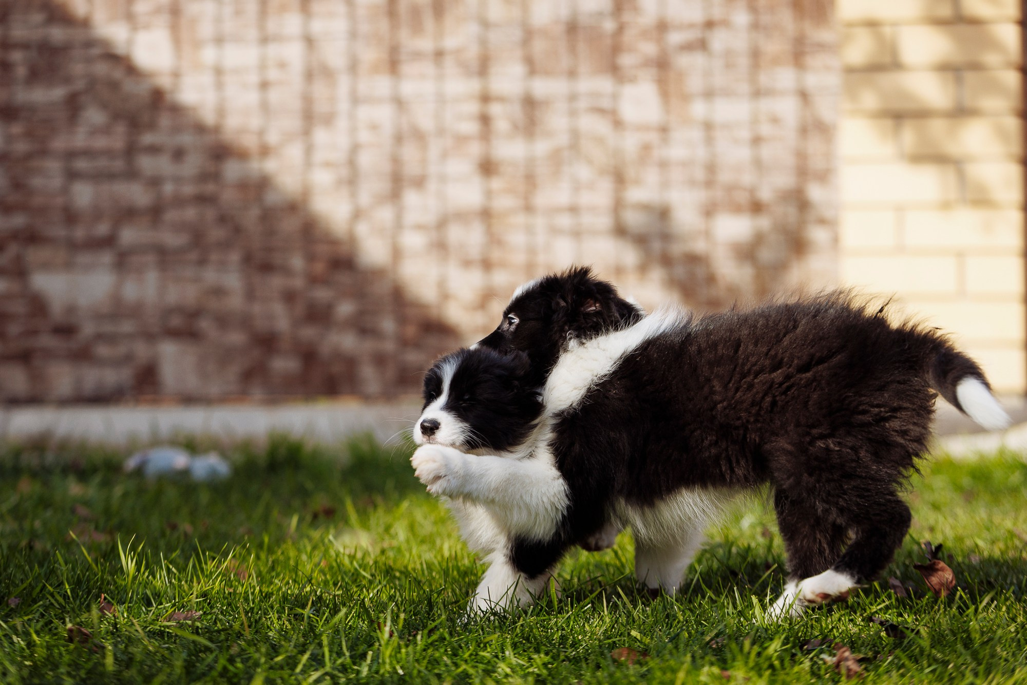 У дома с большой компанией от мала до велика. О нас