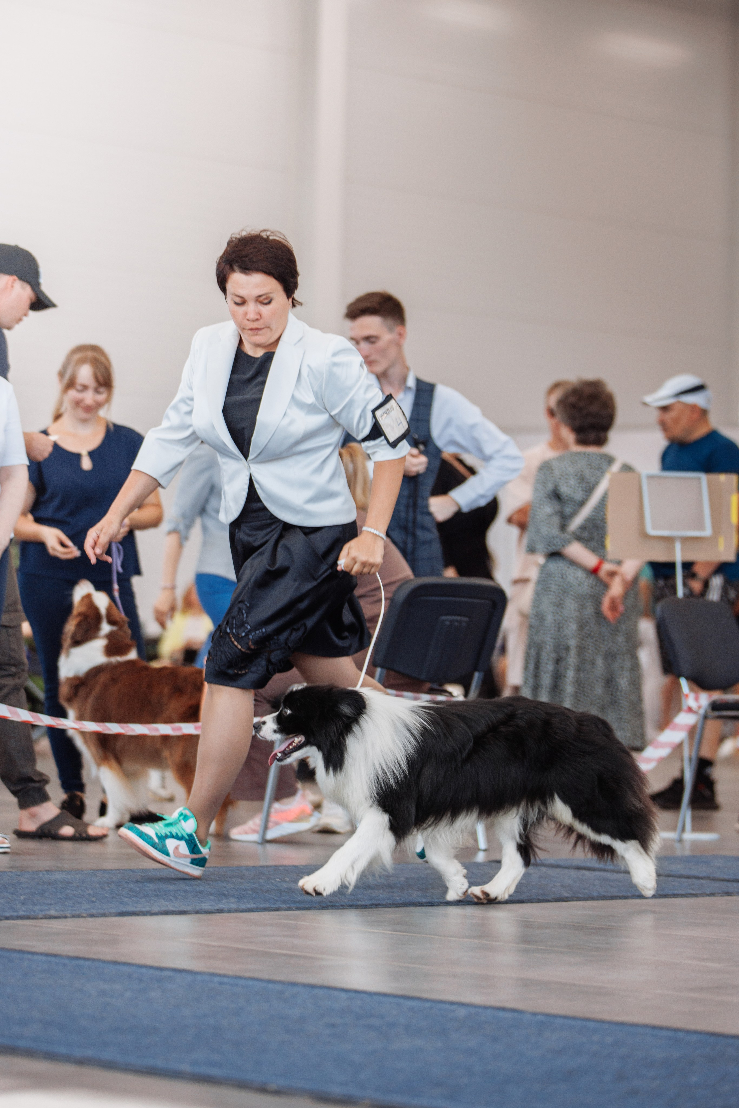 Zenith Mystique Regni — Дени. О нас