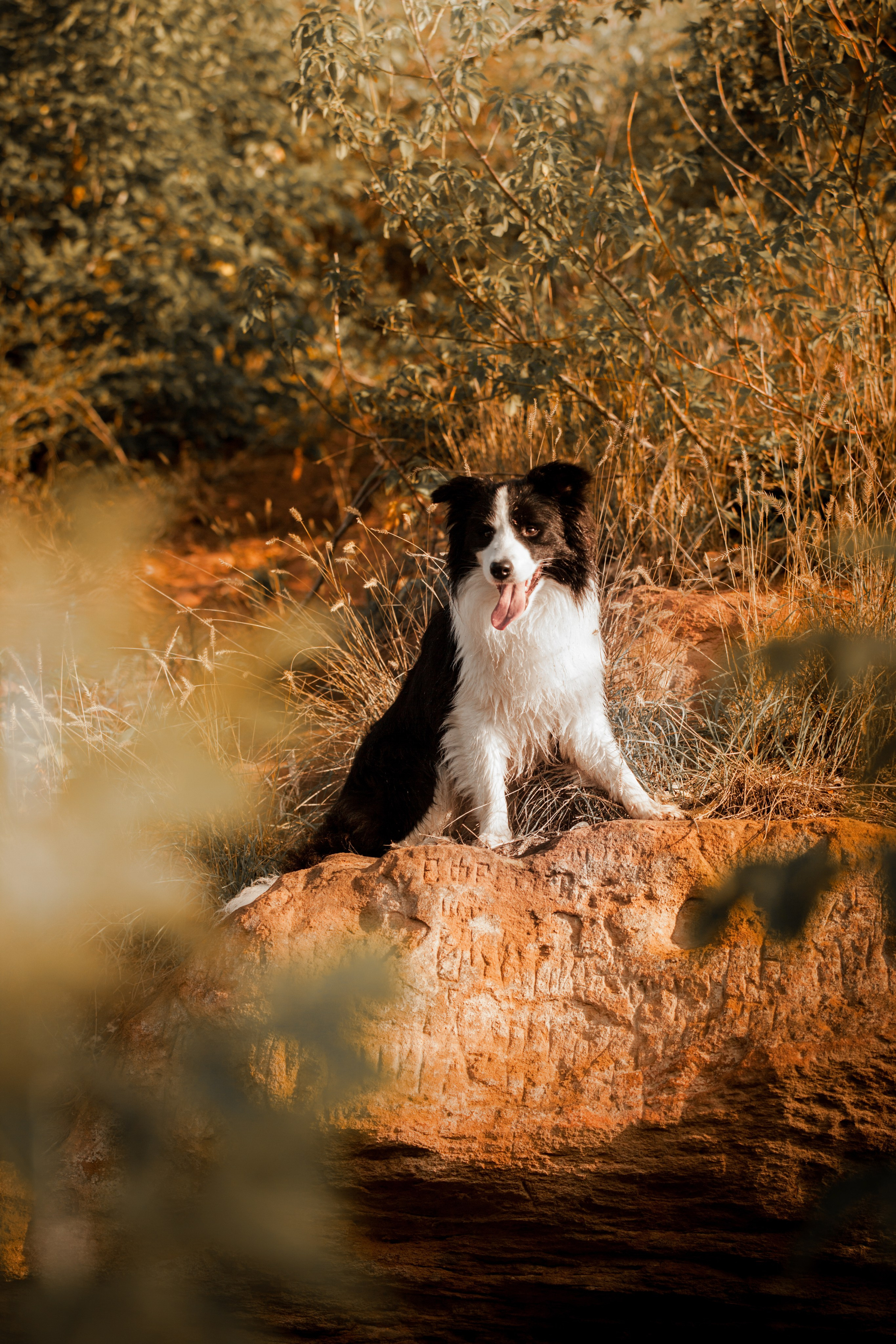 Сочный рассвет, на который решились. О нас