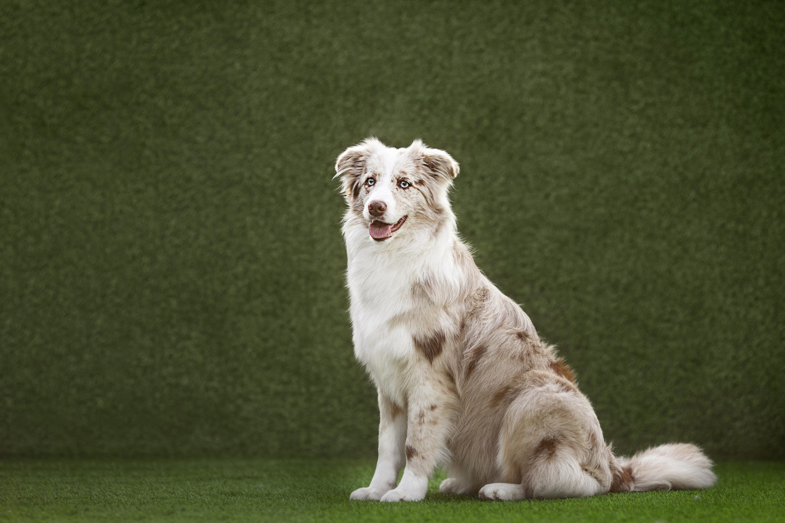 Роскошь в ростошах. О нас