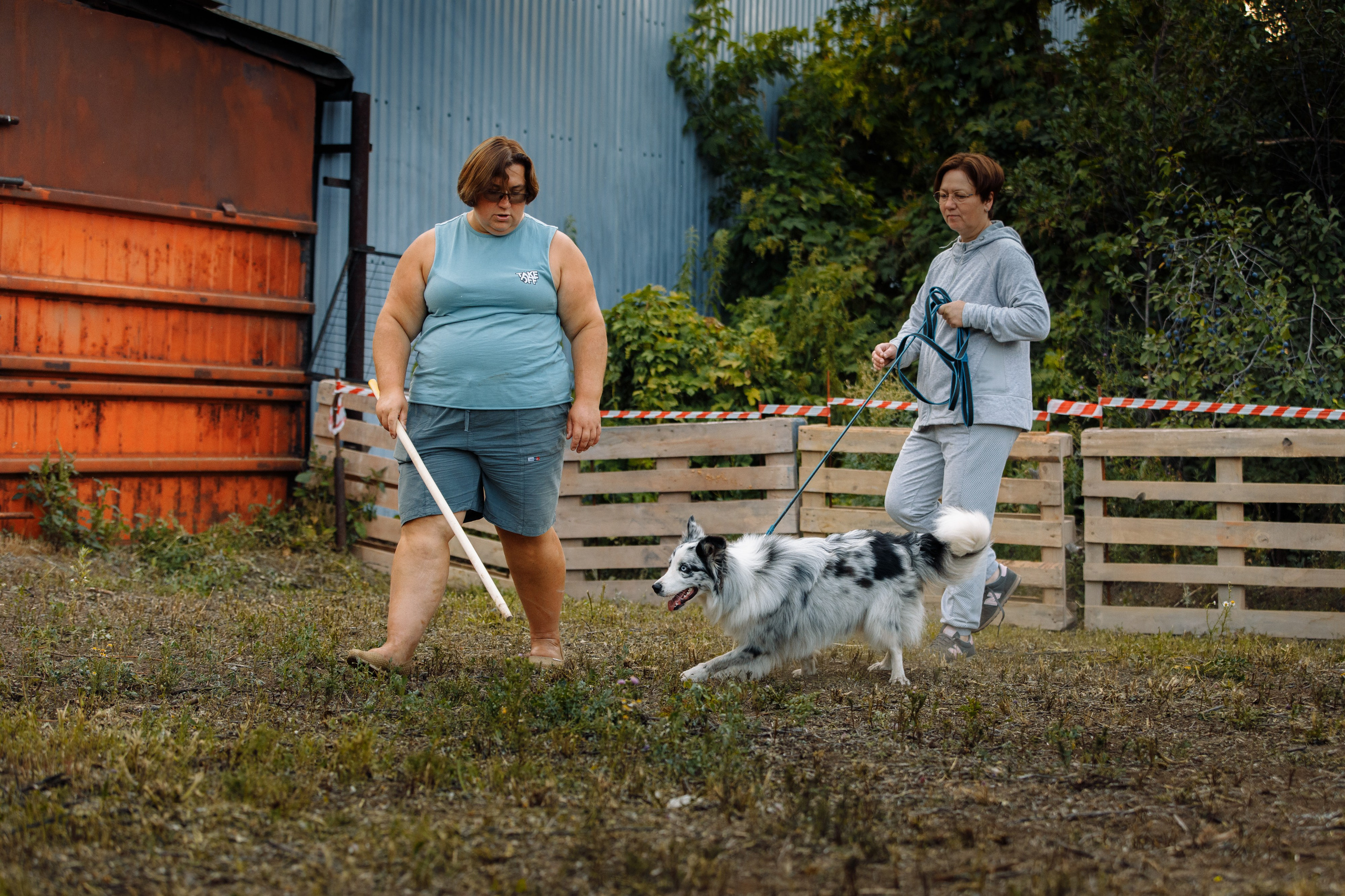 Овечий день. О нас