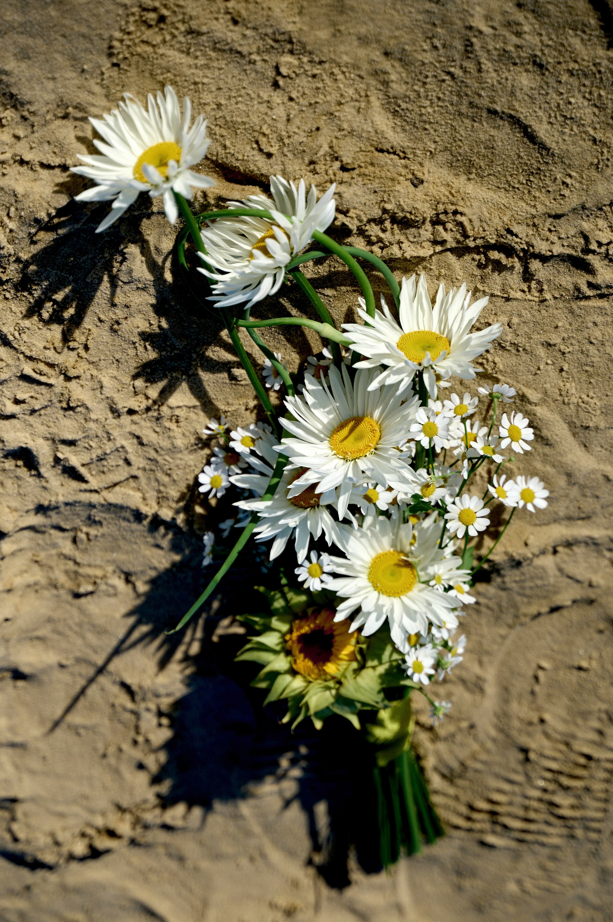 Летняя история. Анна Гончарова свадебный и репортажный фотограф в Москве