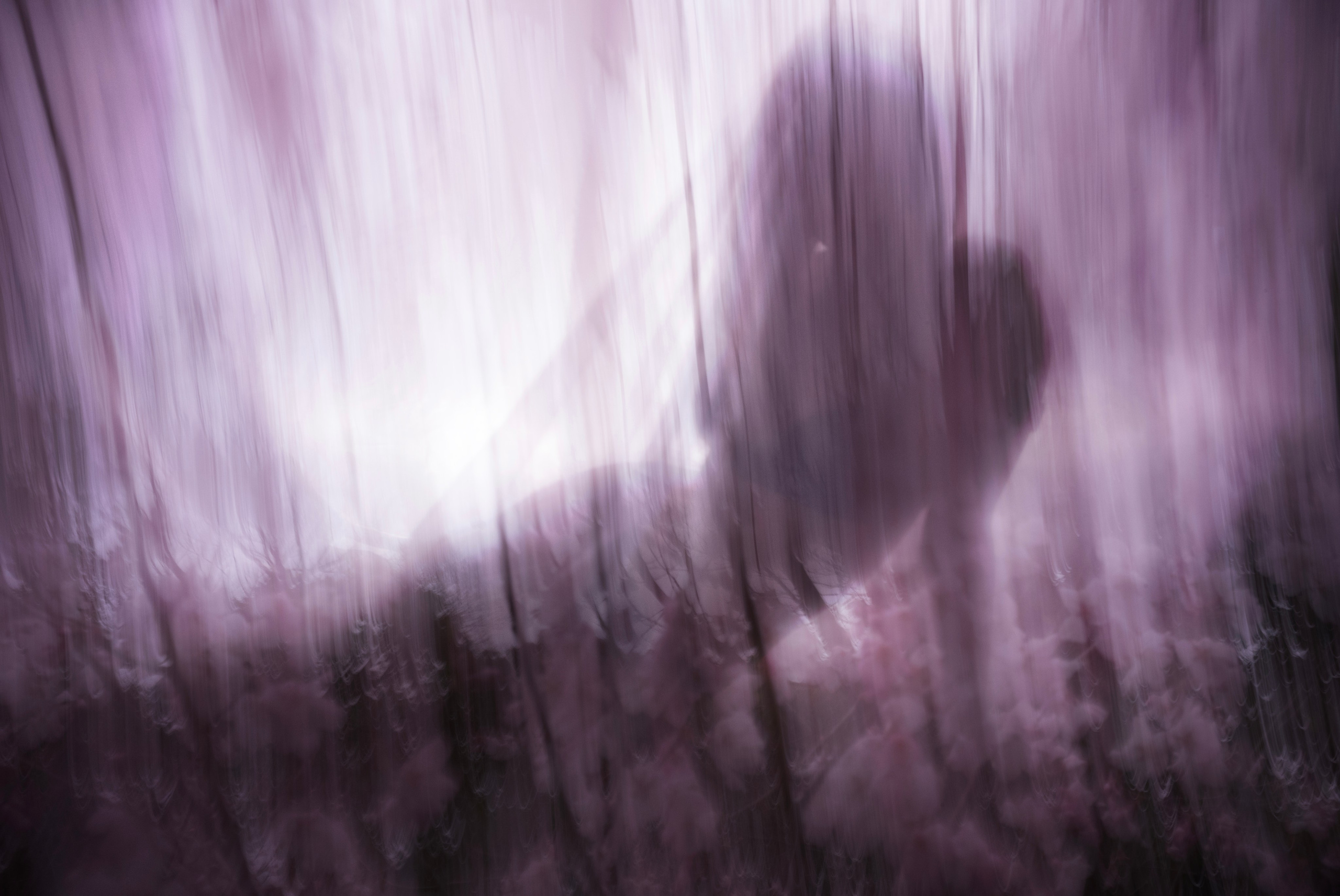 KINDS OF SOLITUDE. International visual artist