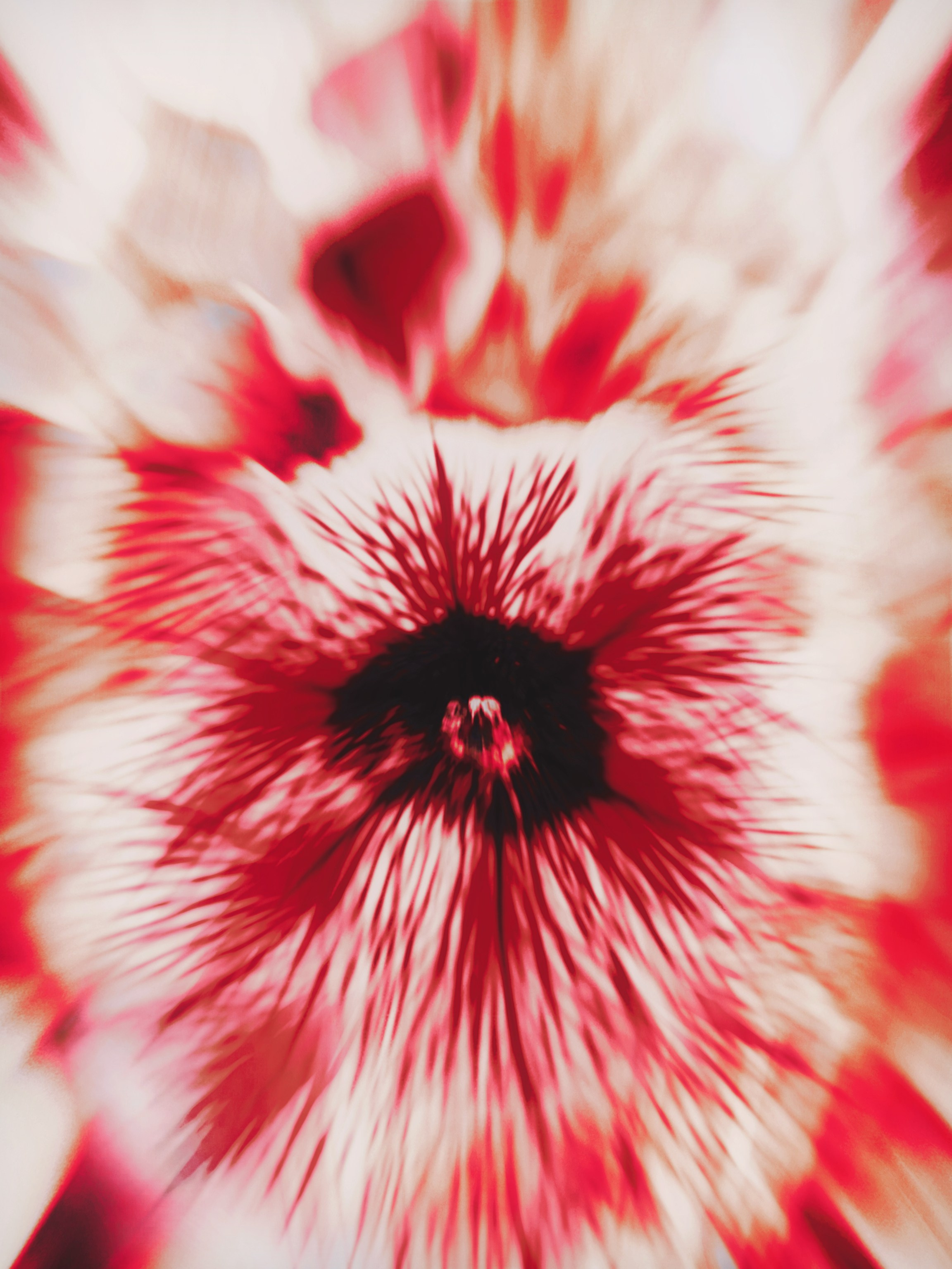 Street/travel. Sveti Sveta • визуальный артист Светлана Дубских