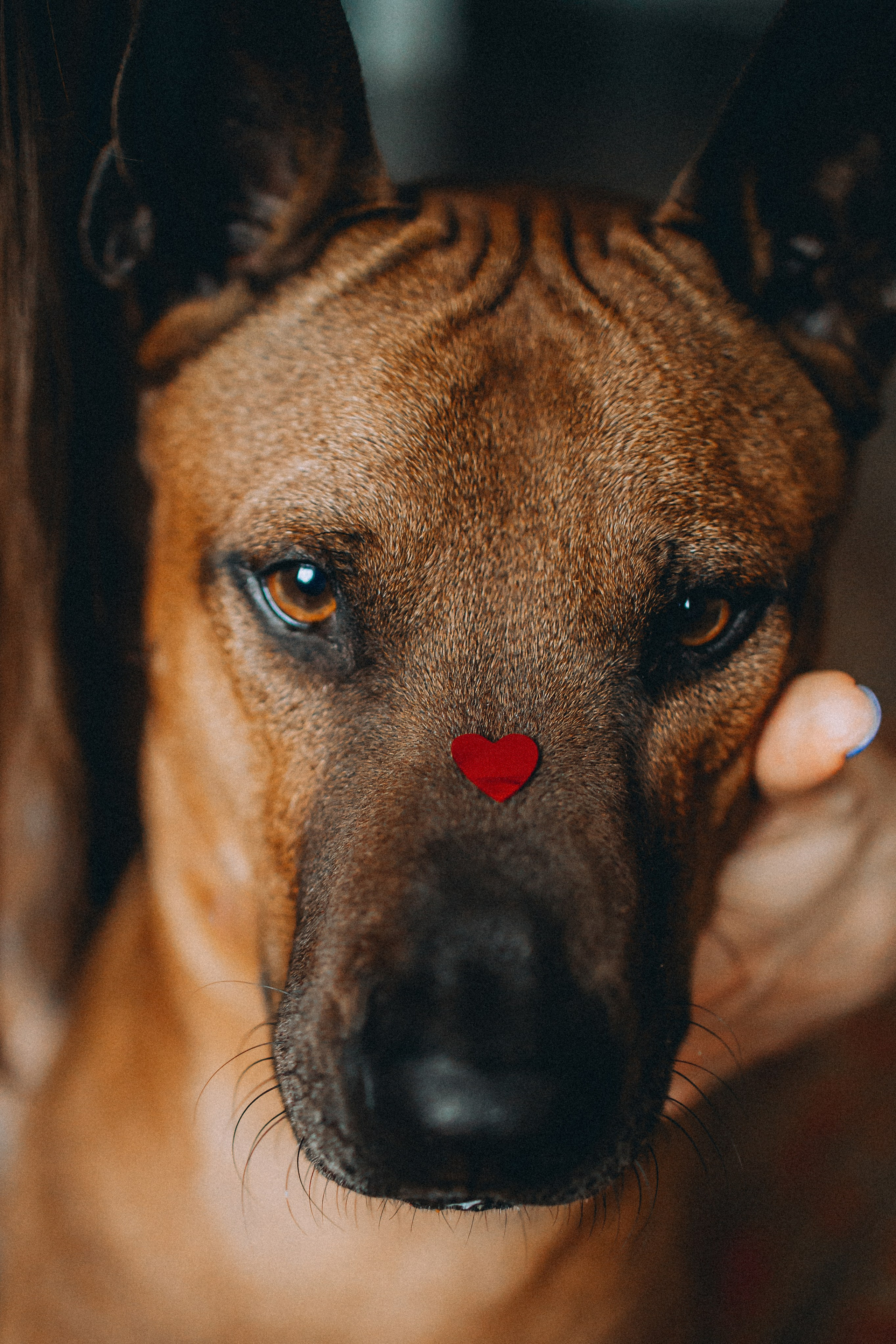 Оксана и Зевс