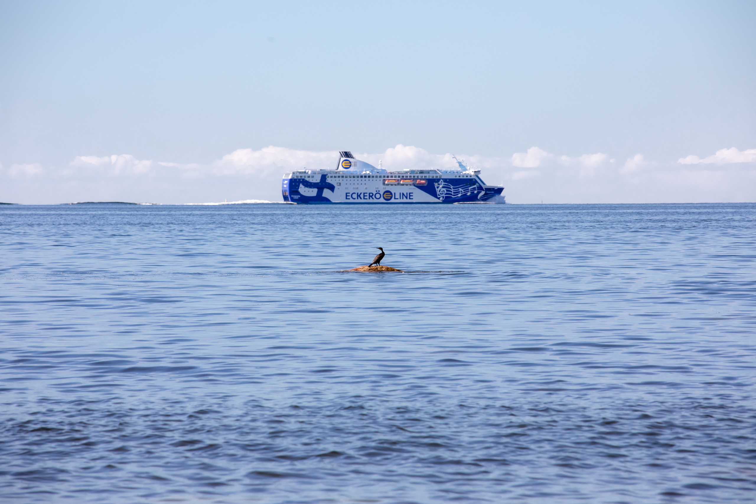 Birds & Animals. Воройская Анна