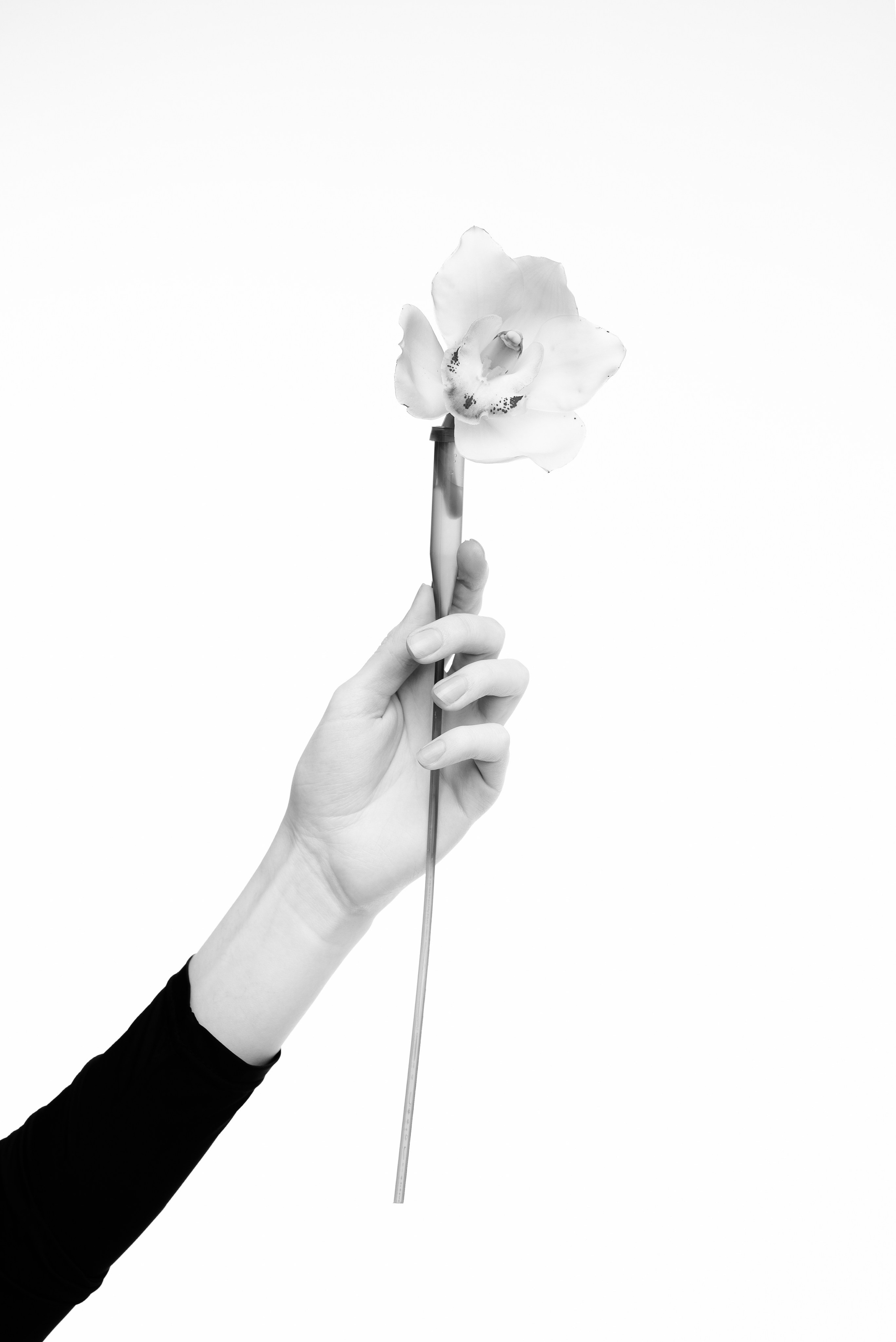 Творческие съемки. ТАТИ | Татьяна Тихонова | фотограф | Тольятти Самара