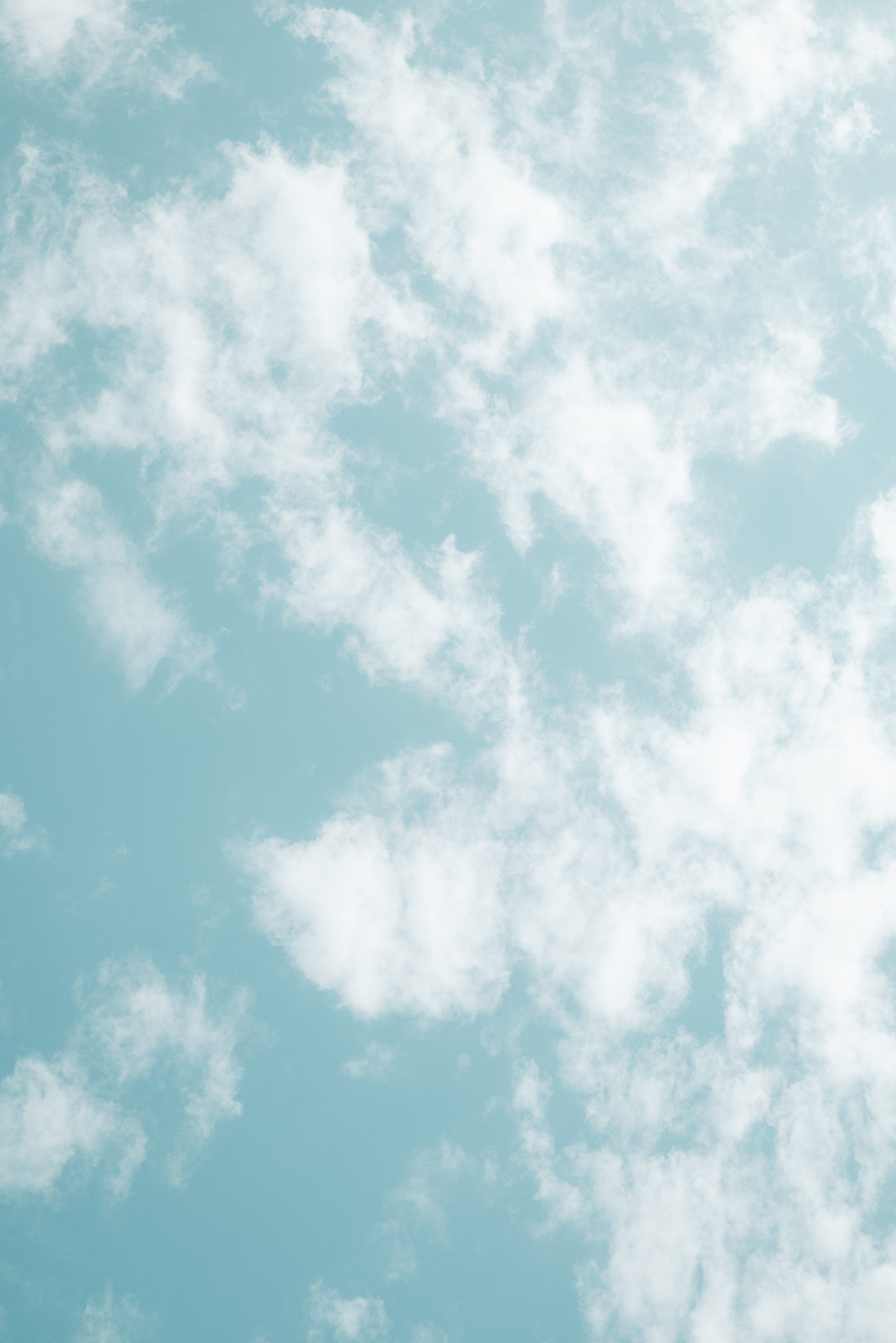 2024 | sisterhood. ТАТИ | Татьяна Тихонова | фотограф | Тольятти Самара