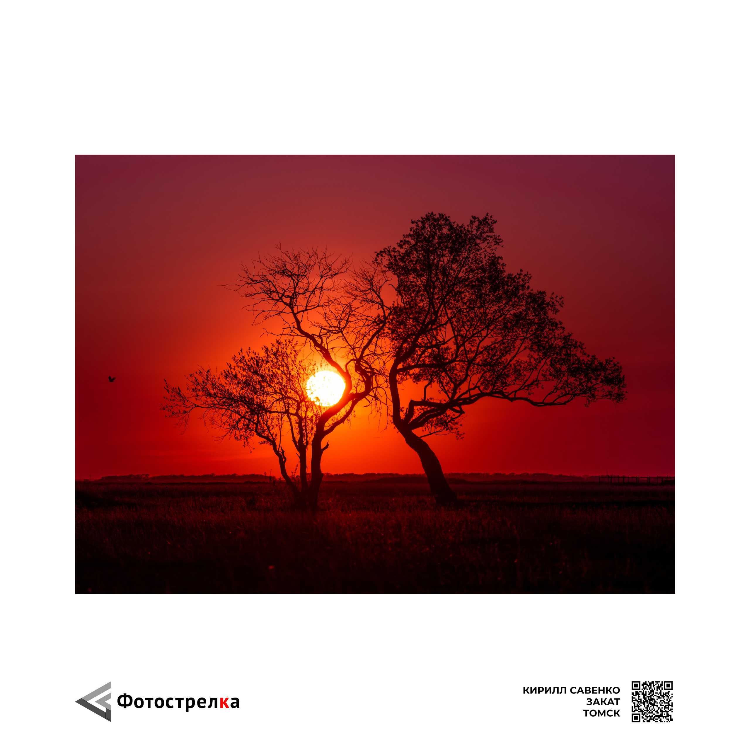 «Красная» коллекция в паспарту. Фотострелка