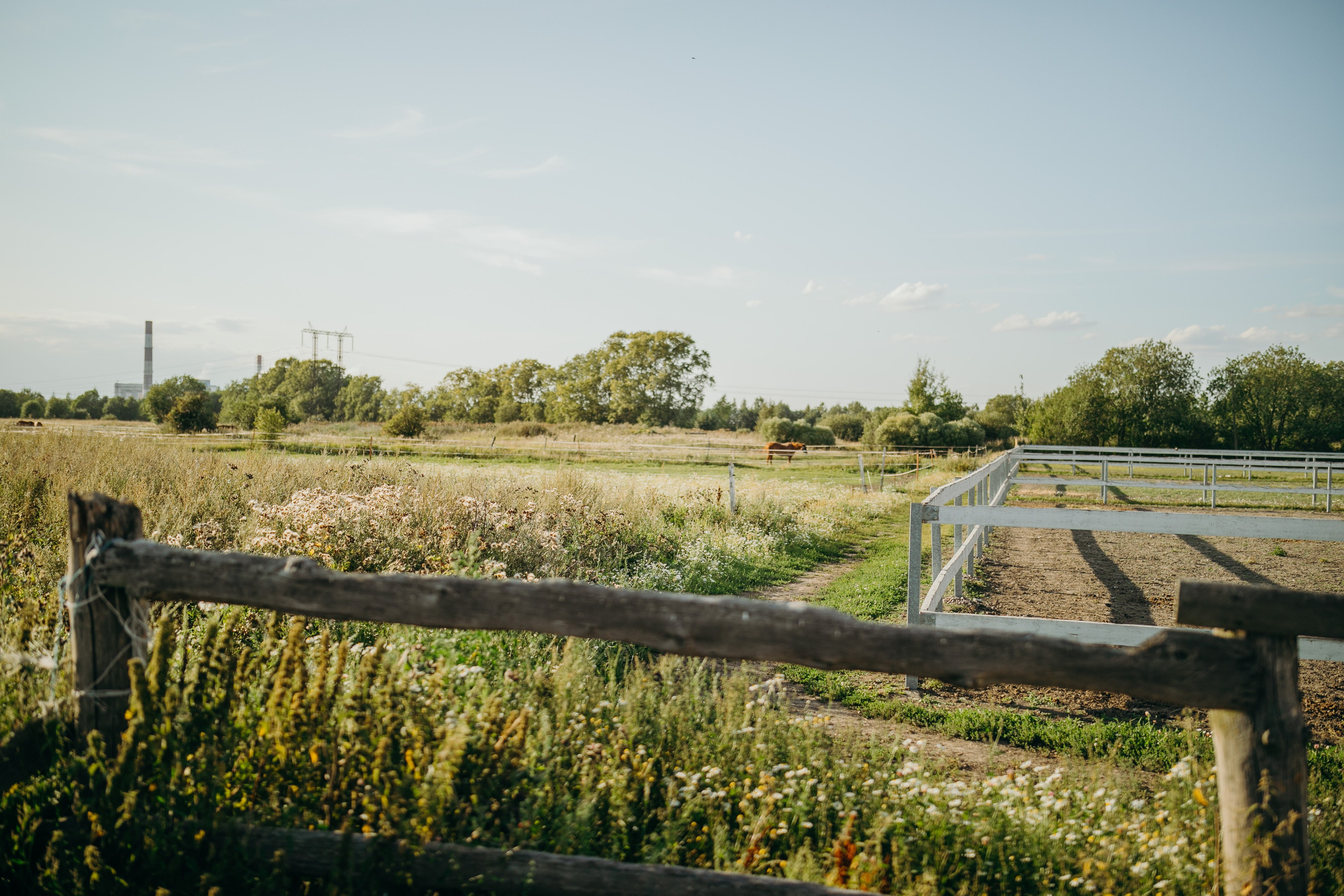 Николай и Вероника. Свадебный и репортажный фотограф в Санкт-Петербурге Косимов Иззат