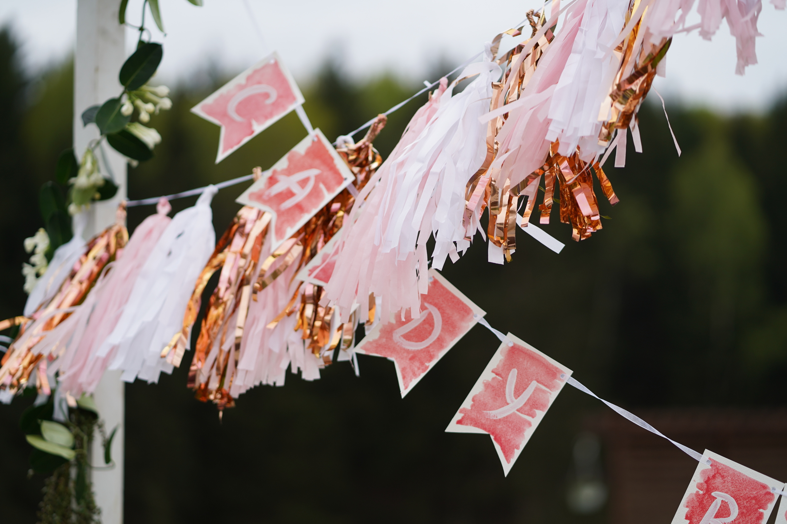 Валерия и Игорь. Семейный и свадебный фотограф Минск, Беларусь Анна Орловская