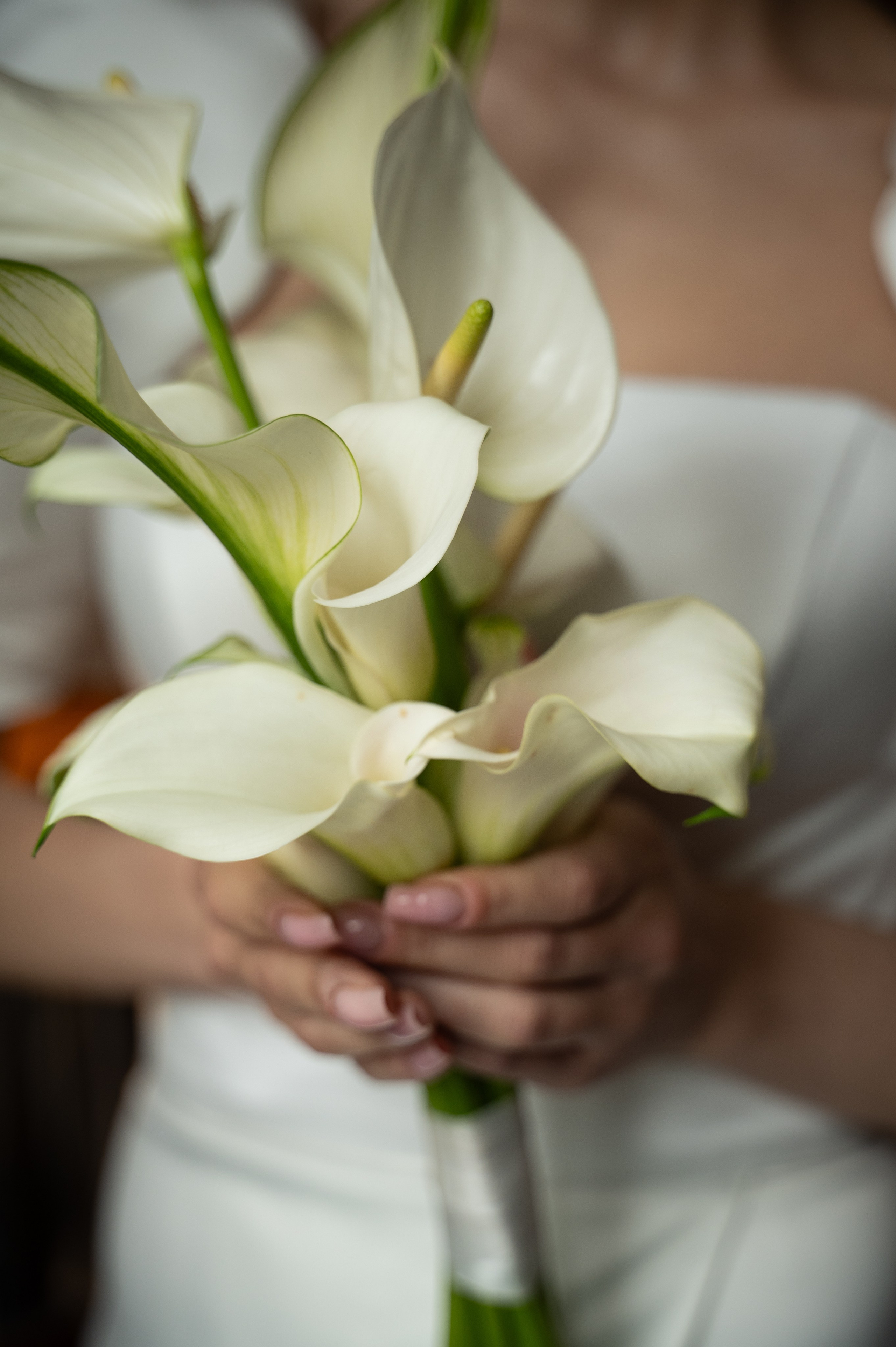 Wedding. Журавлёва Елена