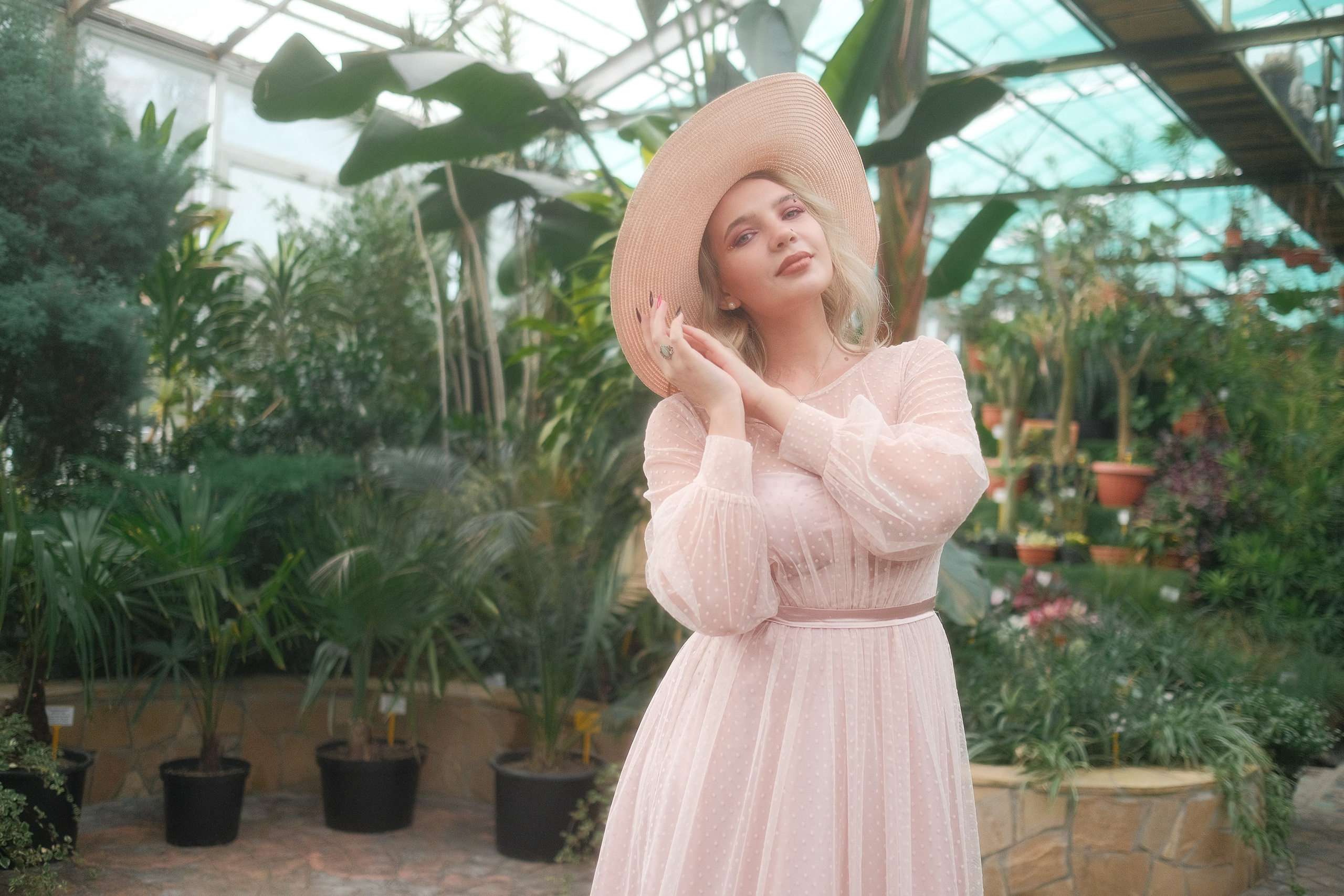 Greenhouse. Aleksandr Schafft