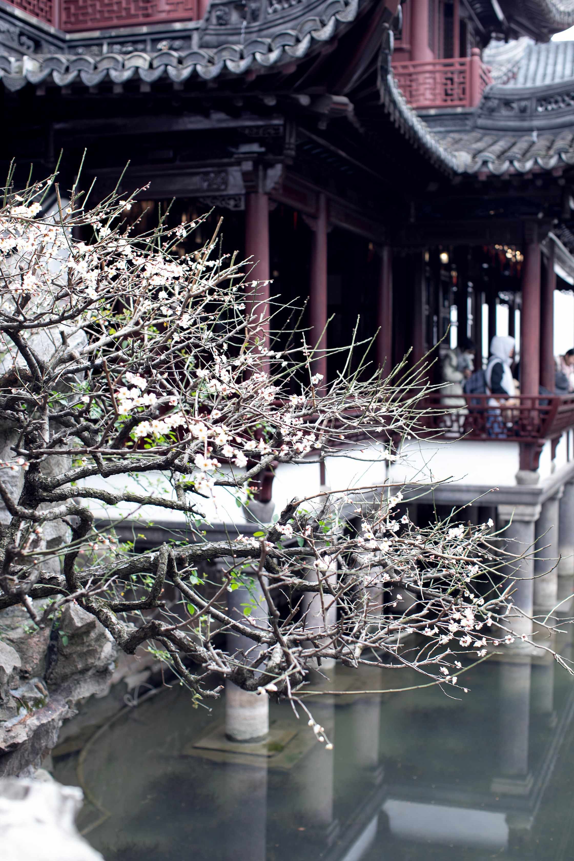 Китай'25: Пекин-Сиань-Шанхай. Фотограф-портретист в Москве