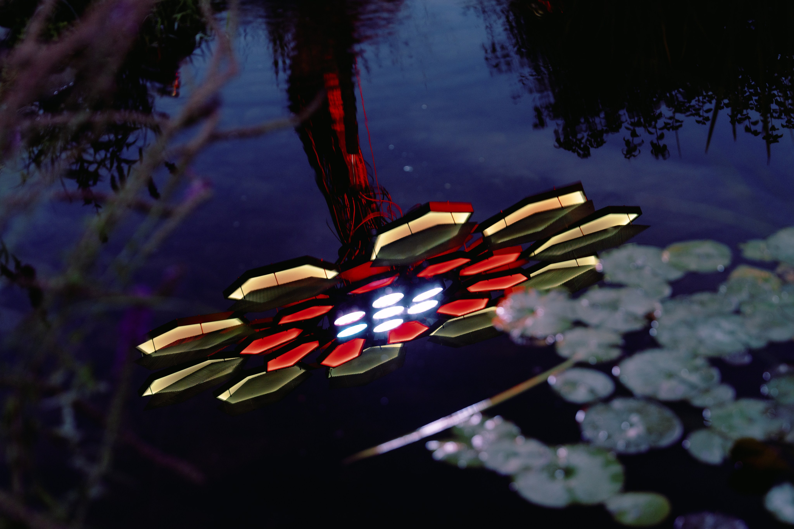 PANTERRA, Cyber Flower. @tomrus: Рустам Шагиморданов — фотограф