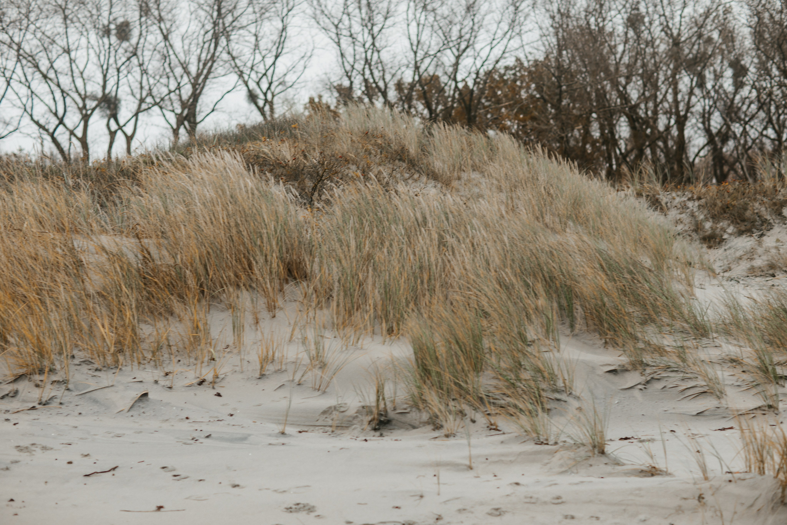 Фотосессия в Балтийске. Https://malovafoto.ru