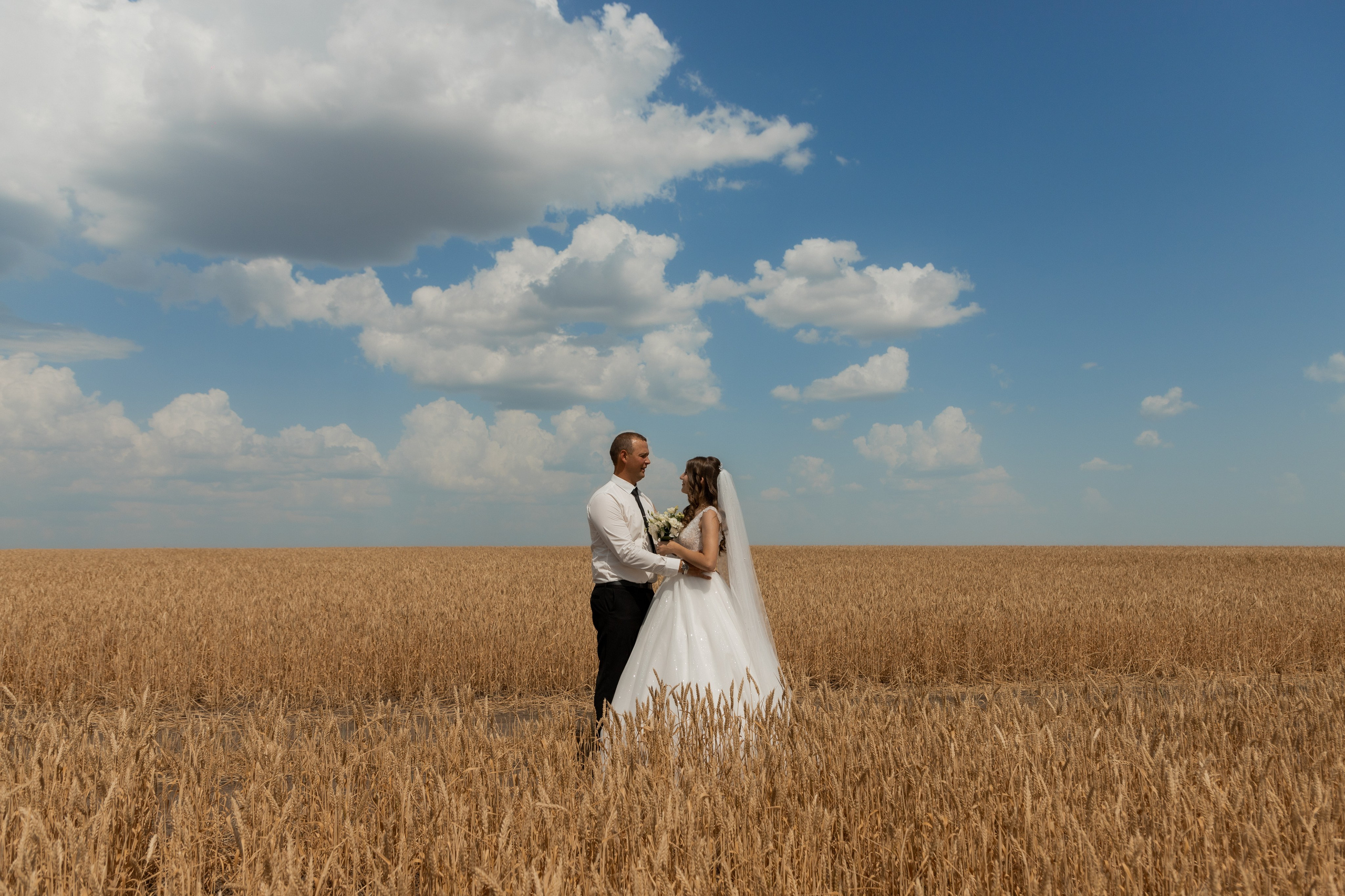 Алексей и Светлана (сокращено). Свадебный фотограф Ангелина Сунгатулина | Саратов | Балаково | Вольск
