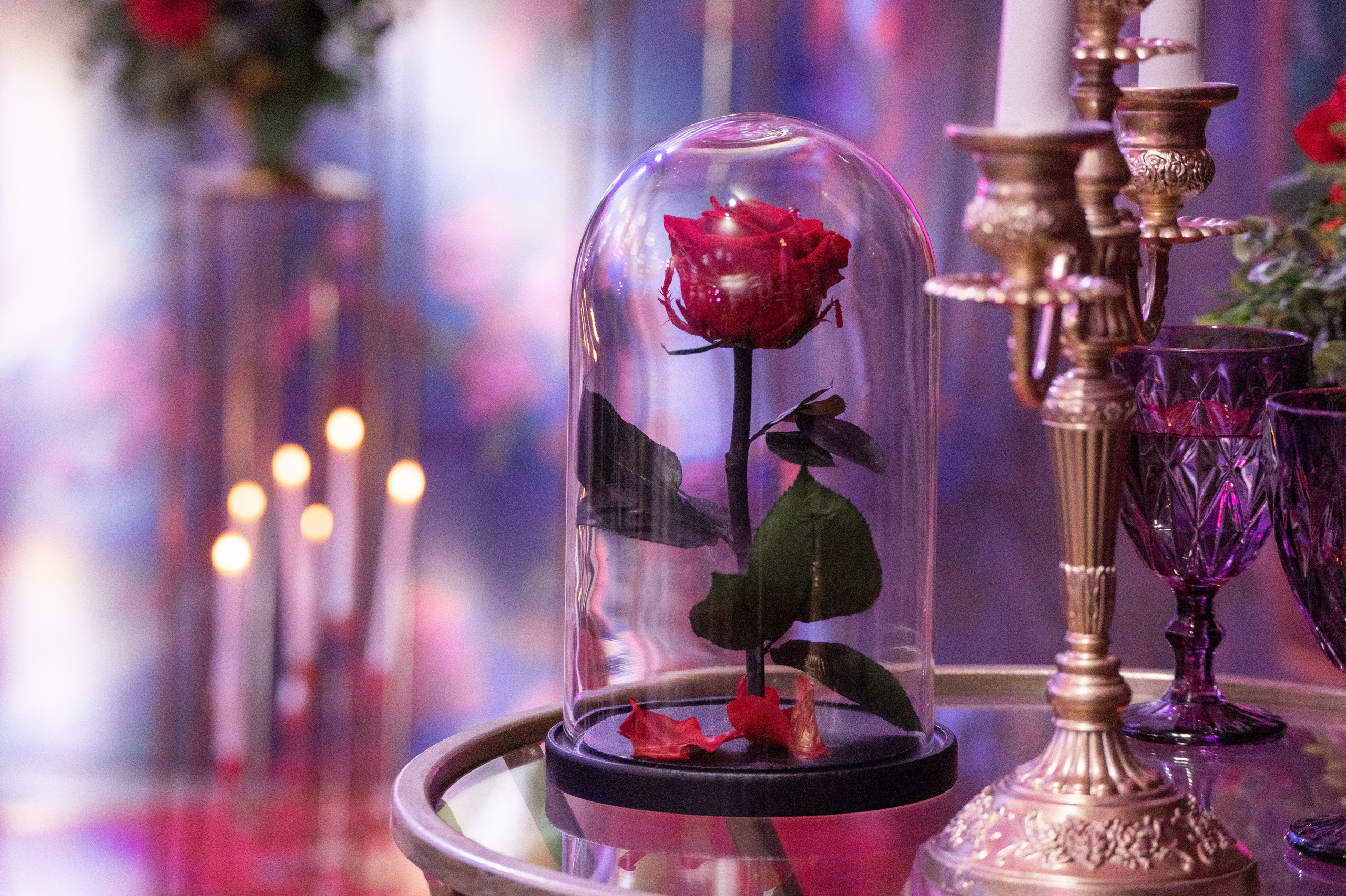 XVII Инклюзивный Бал. Фотограф в Самаре Иван Булатов